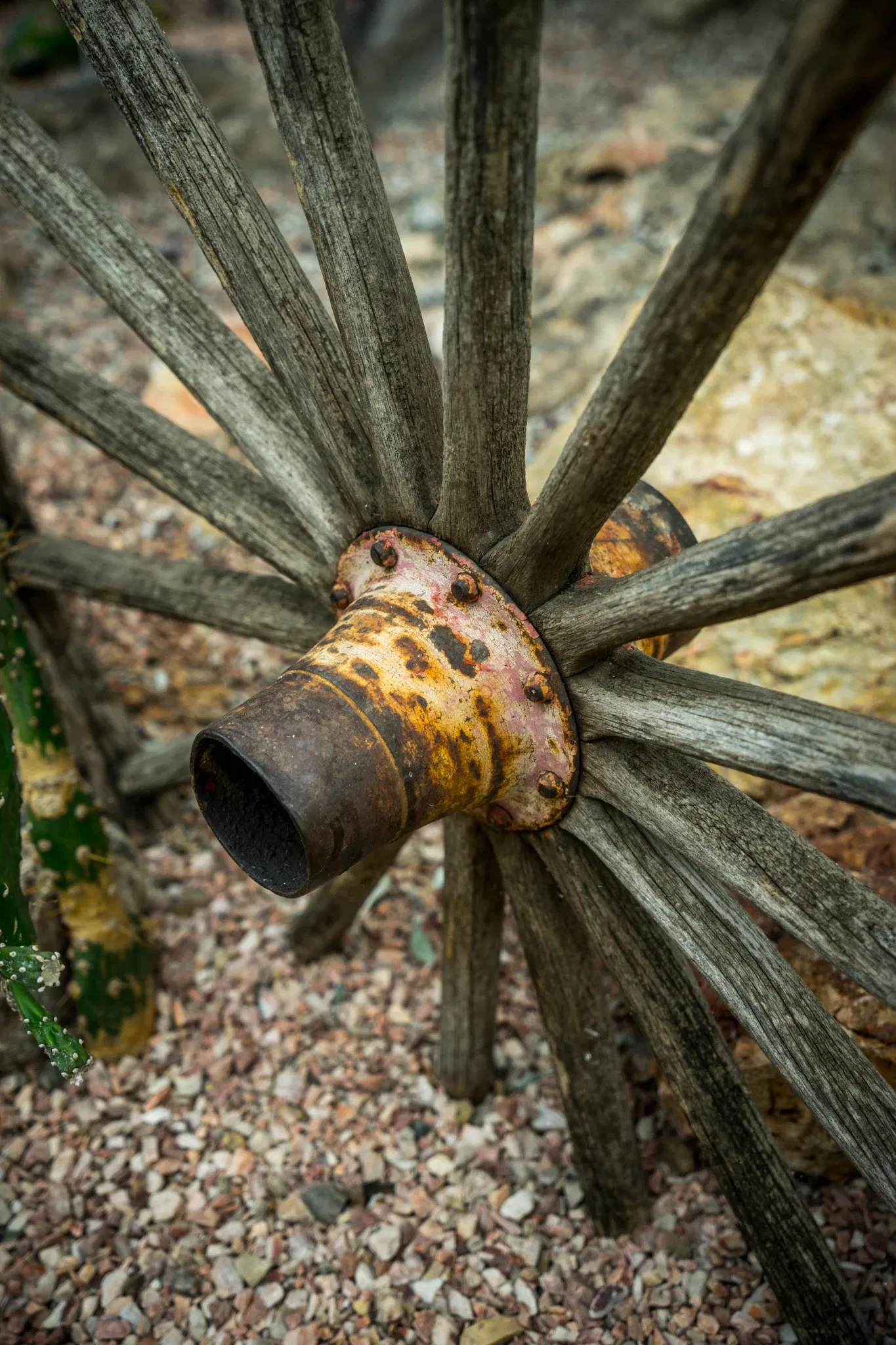 Muttart Conservatory