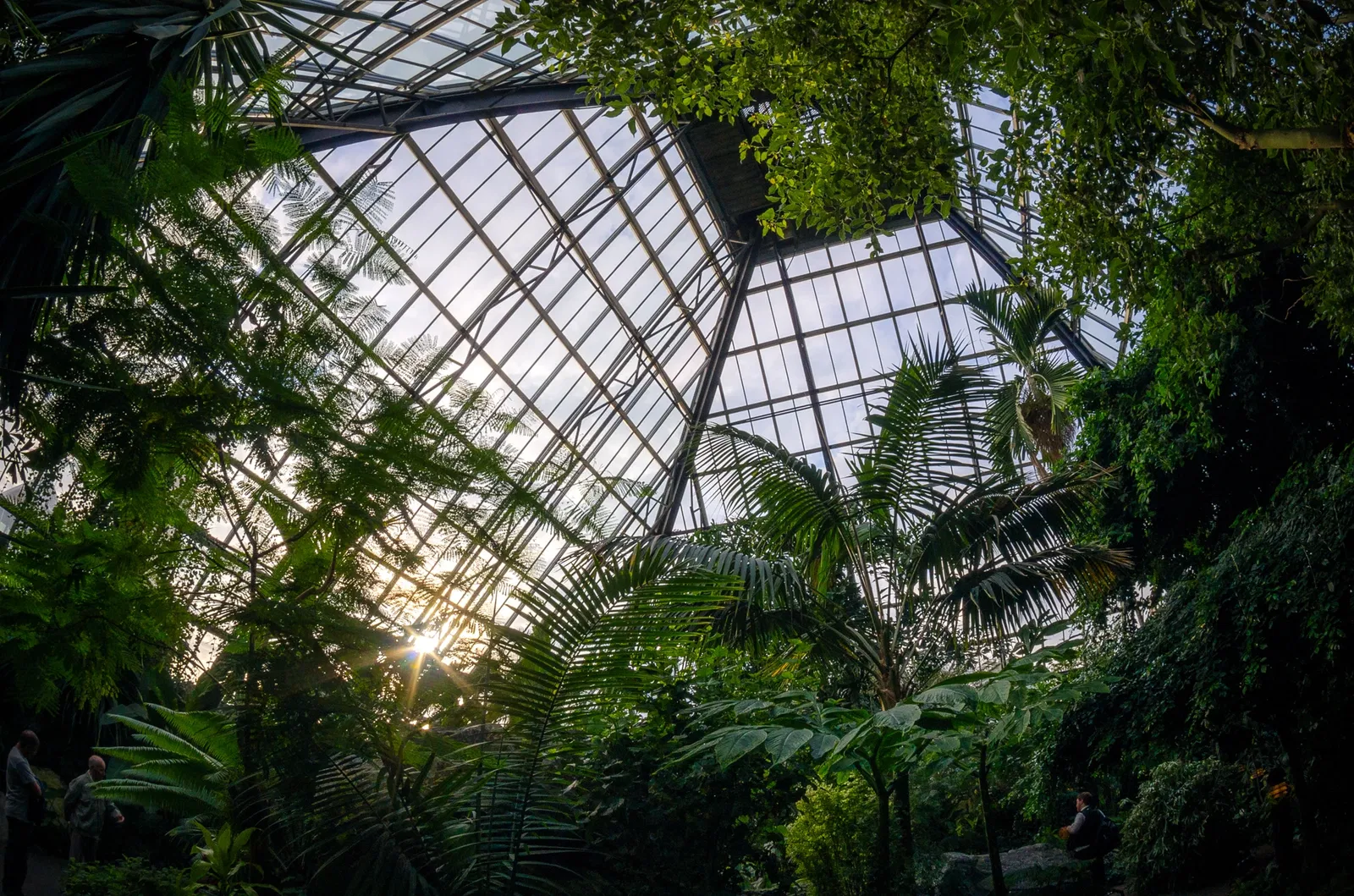 Muttart Conservatory