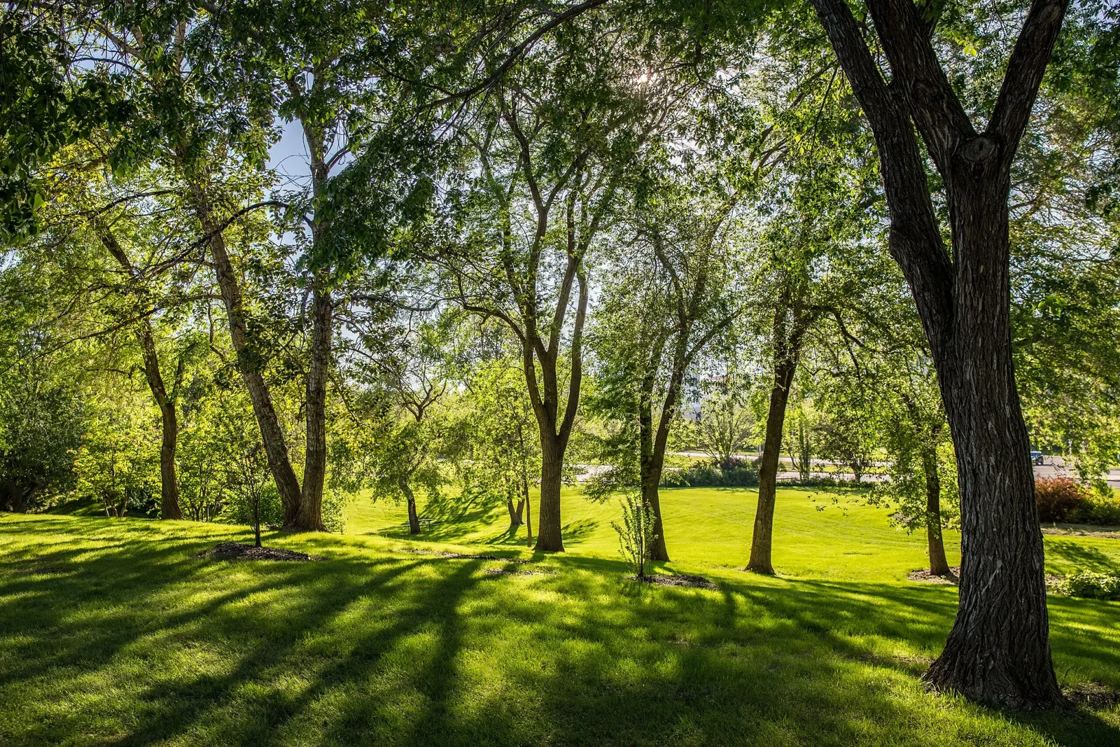 Muttart Conservatory