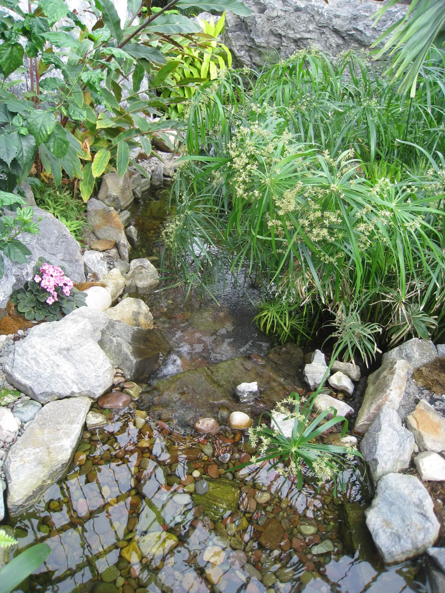 Muttart Conservatory