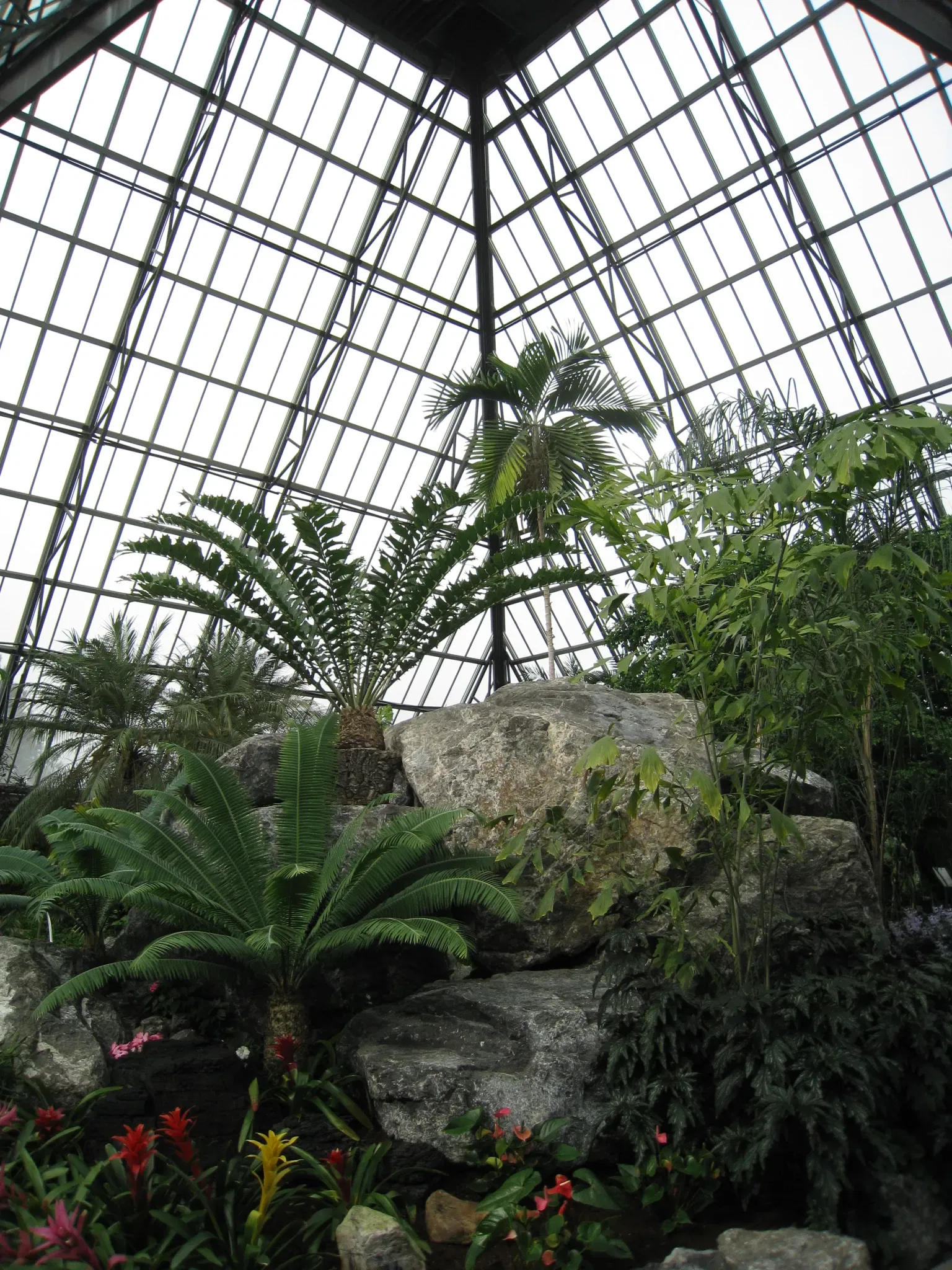 Muttart Conservatory
