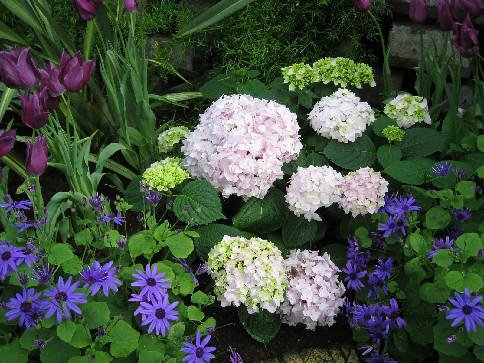 Muttart Conservatory