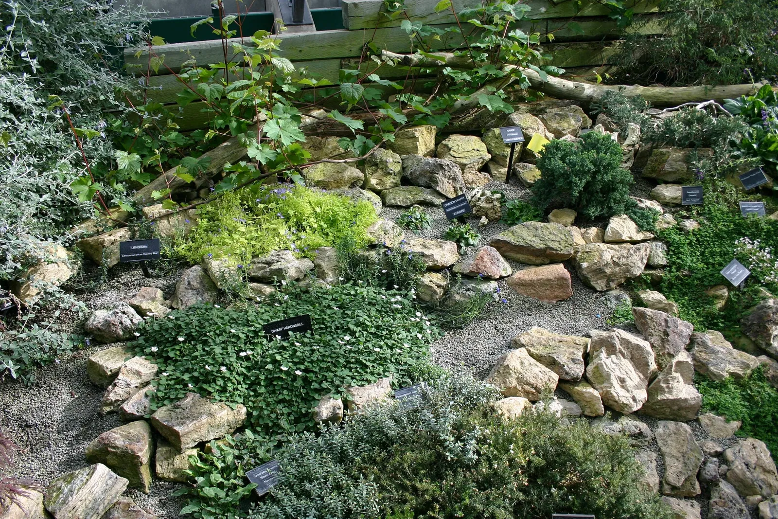 Muttart Conservatory