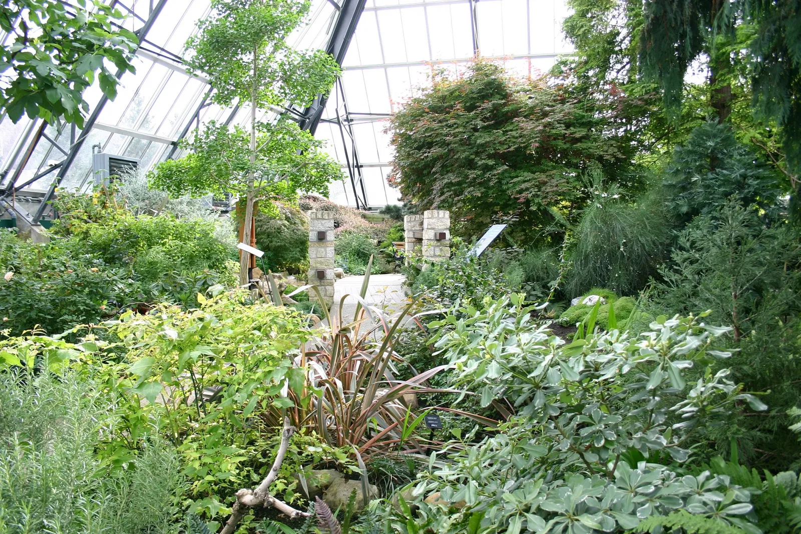 Muttart Conservatory