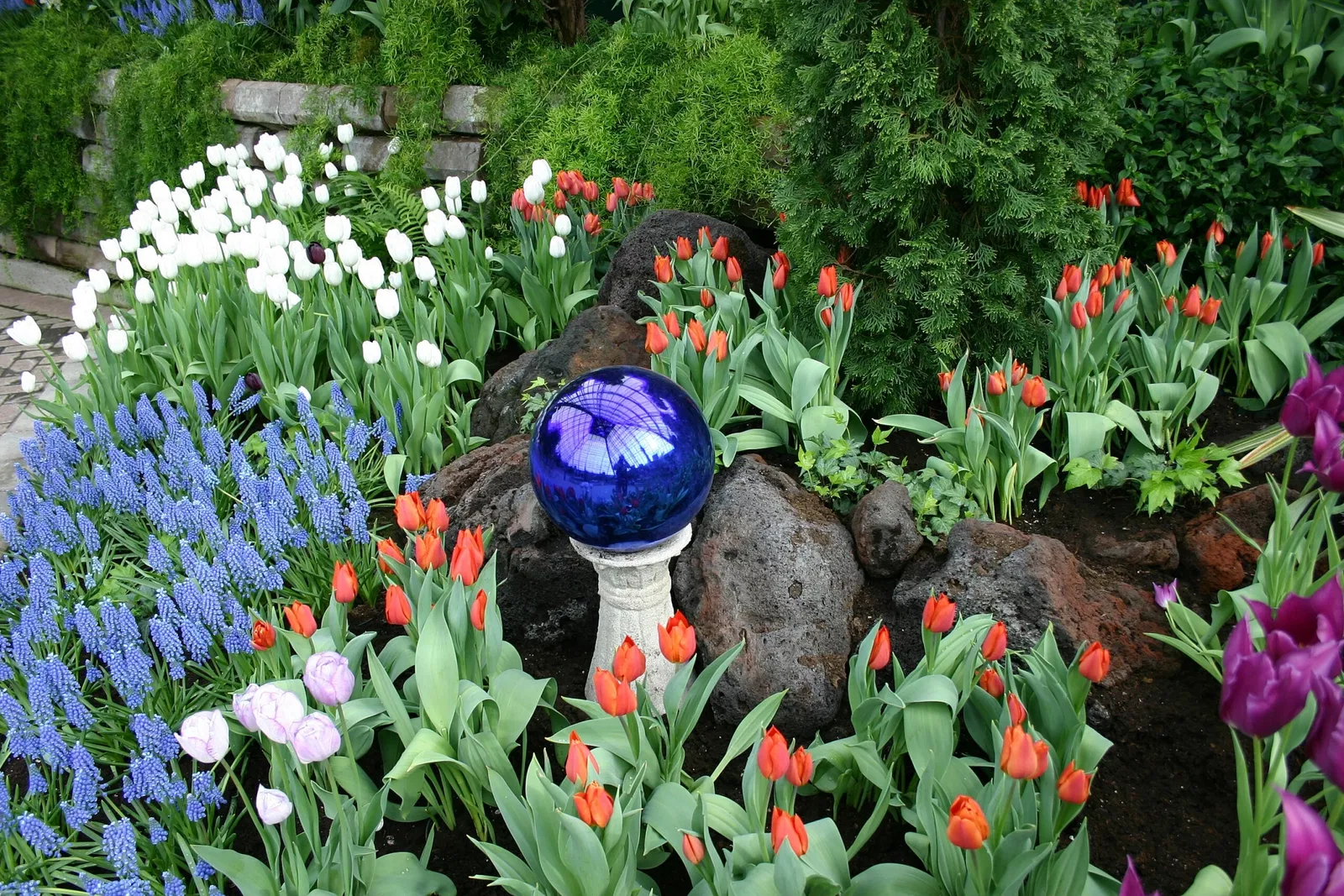 Muttart Conservatory