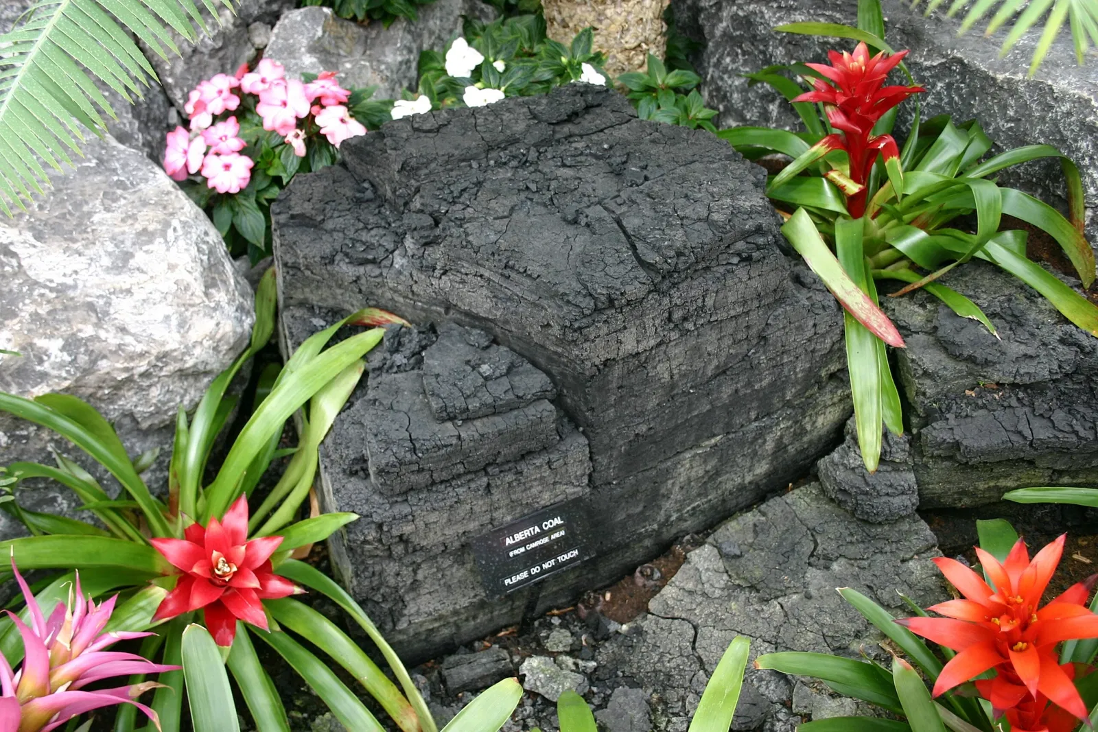 Muttart Conservatory