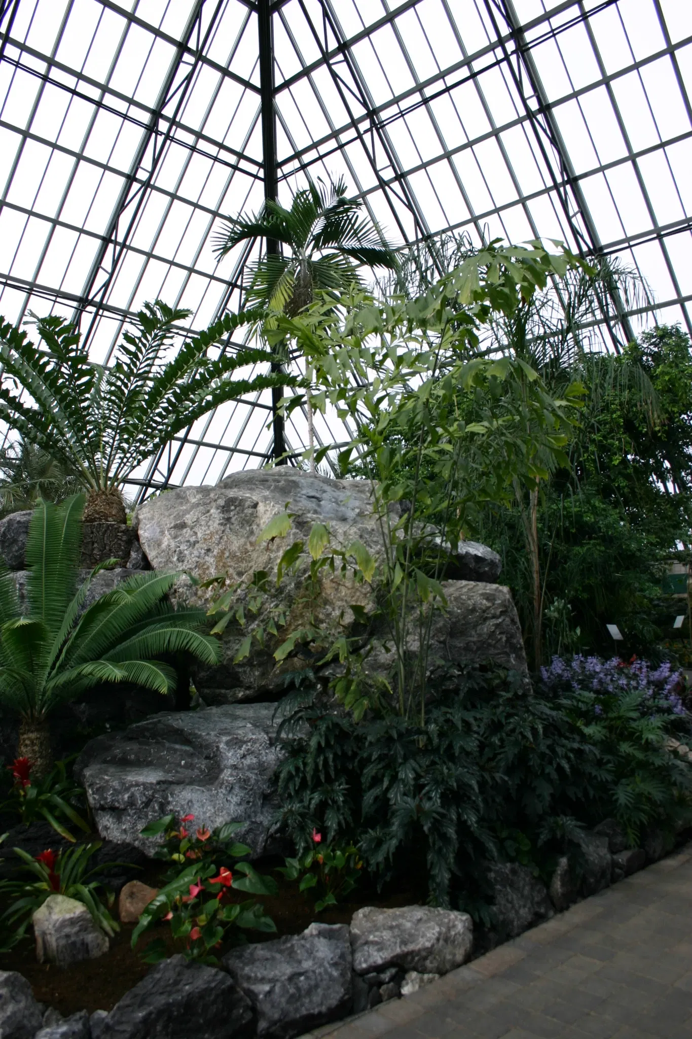 Muttart Conservatory