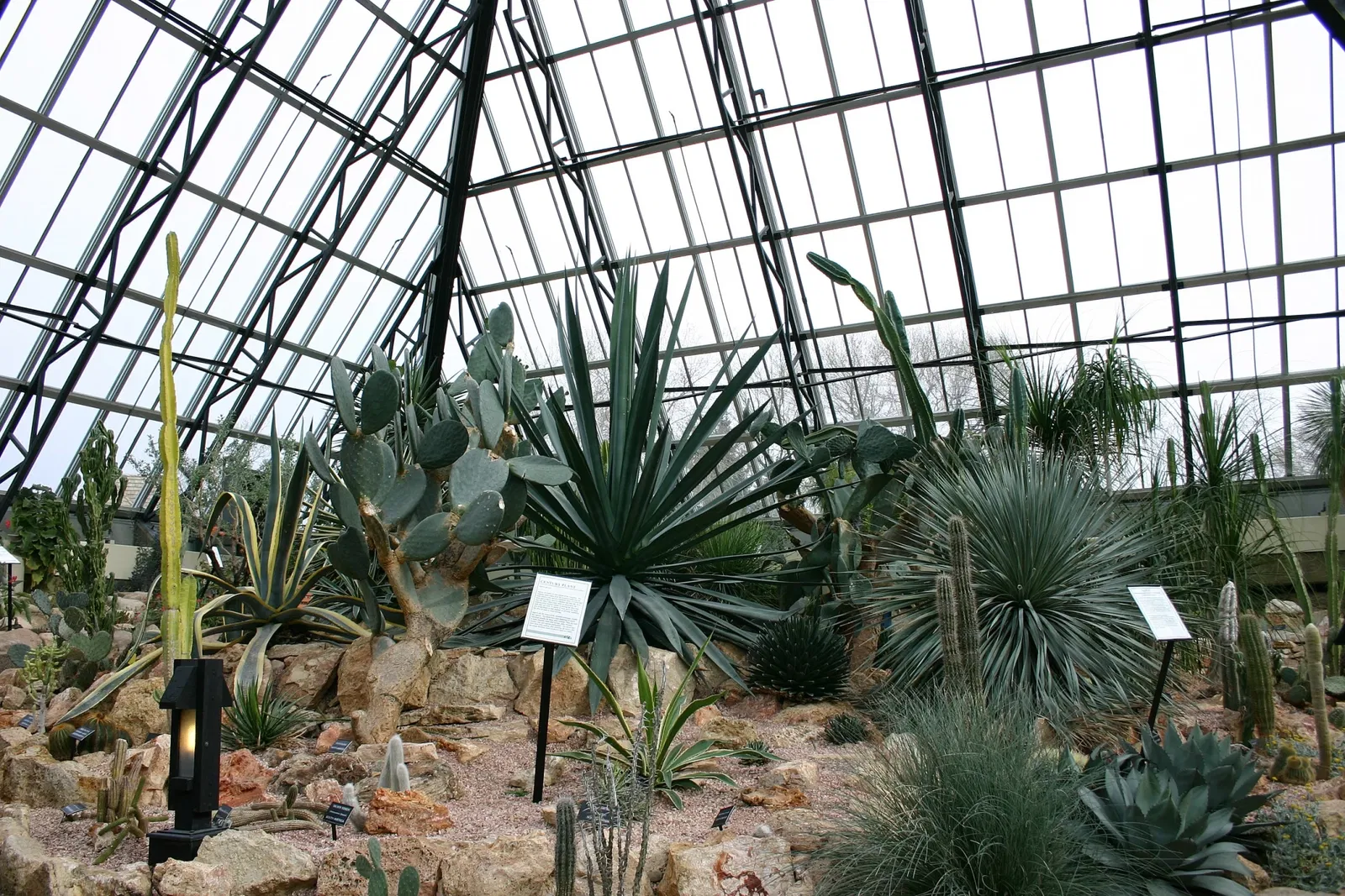 Muttart Conservatory