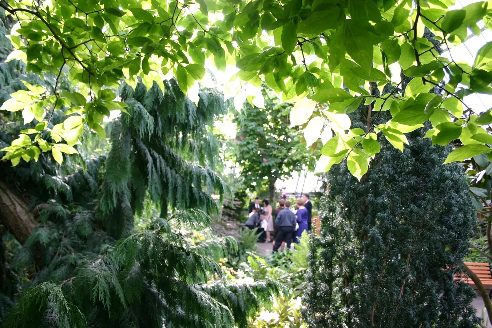 Muttart Conservatory