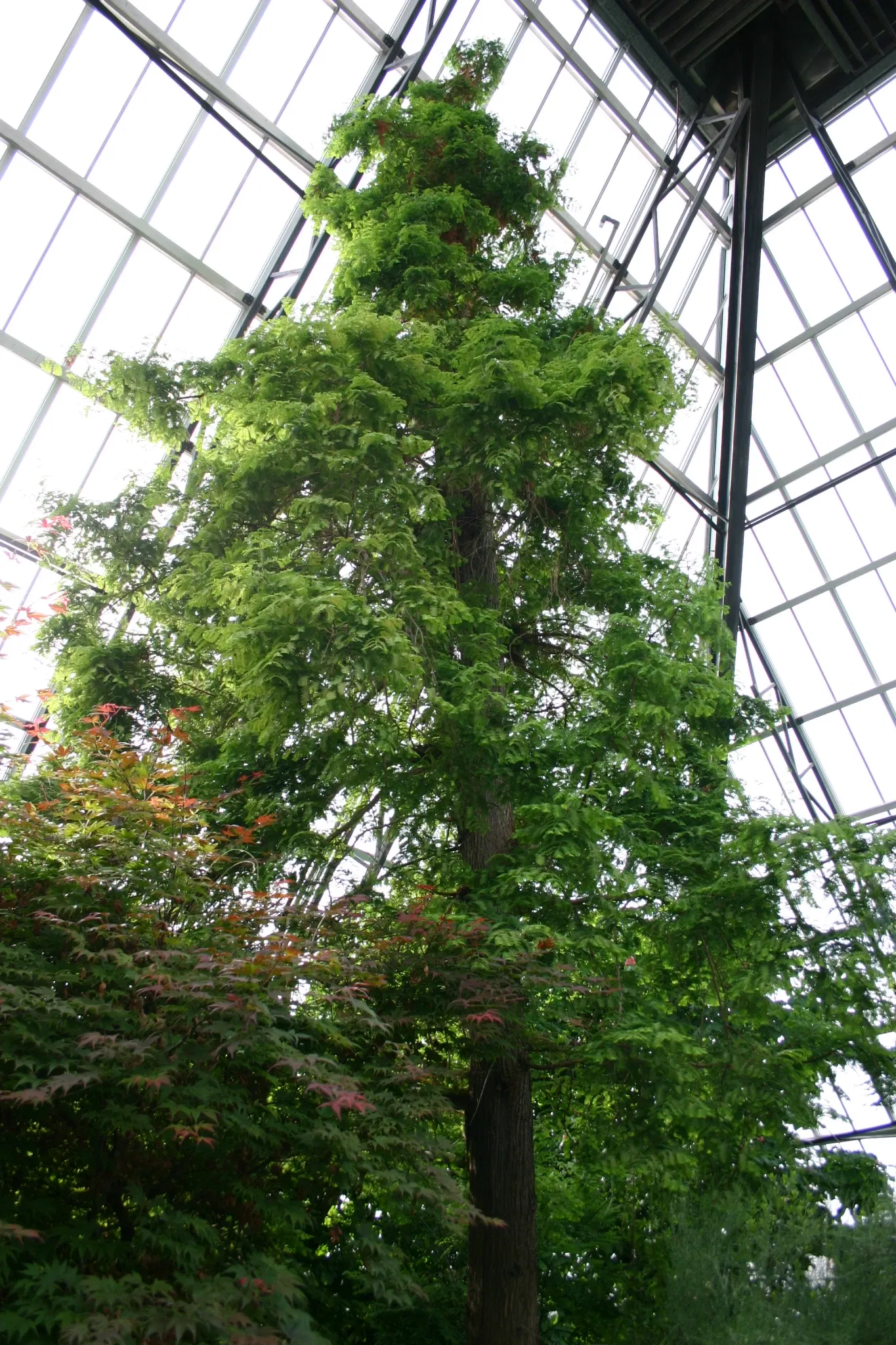 Muttart Conservatory