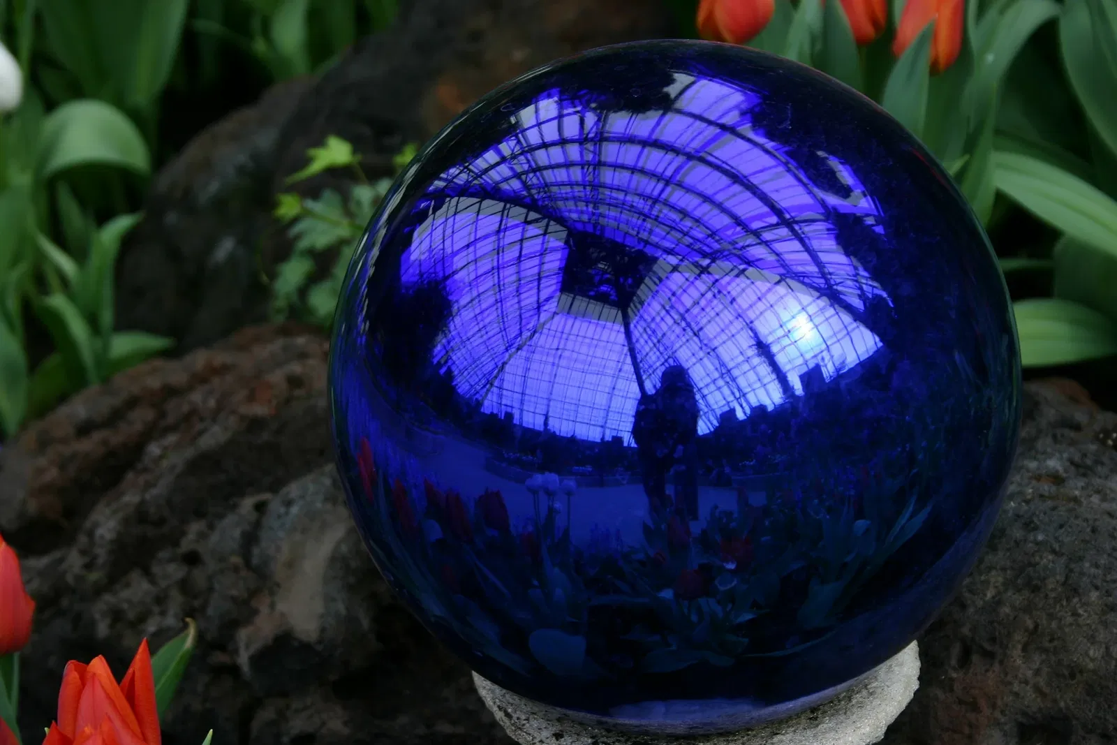 Muttart Conservatory