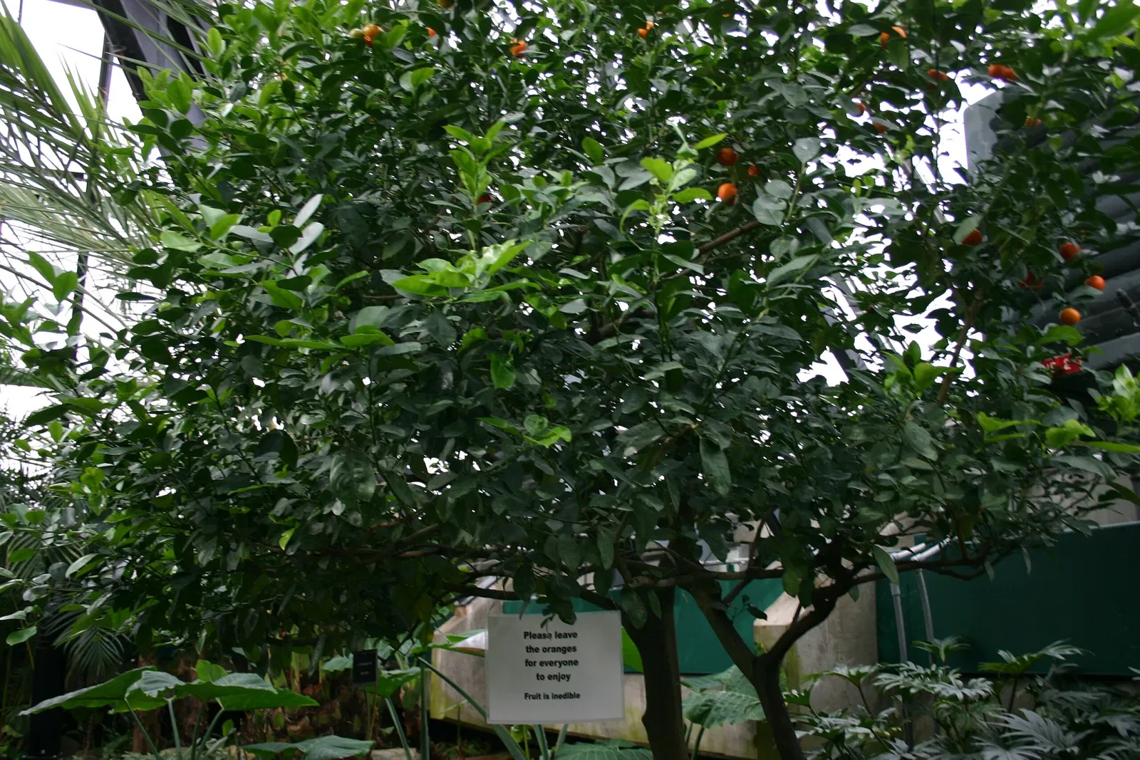 Muttart Conservatory