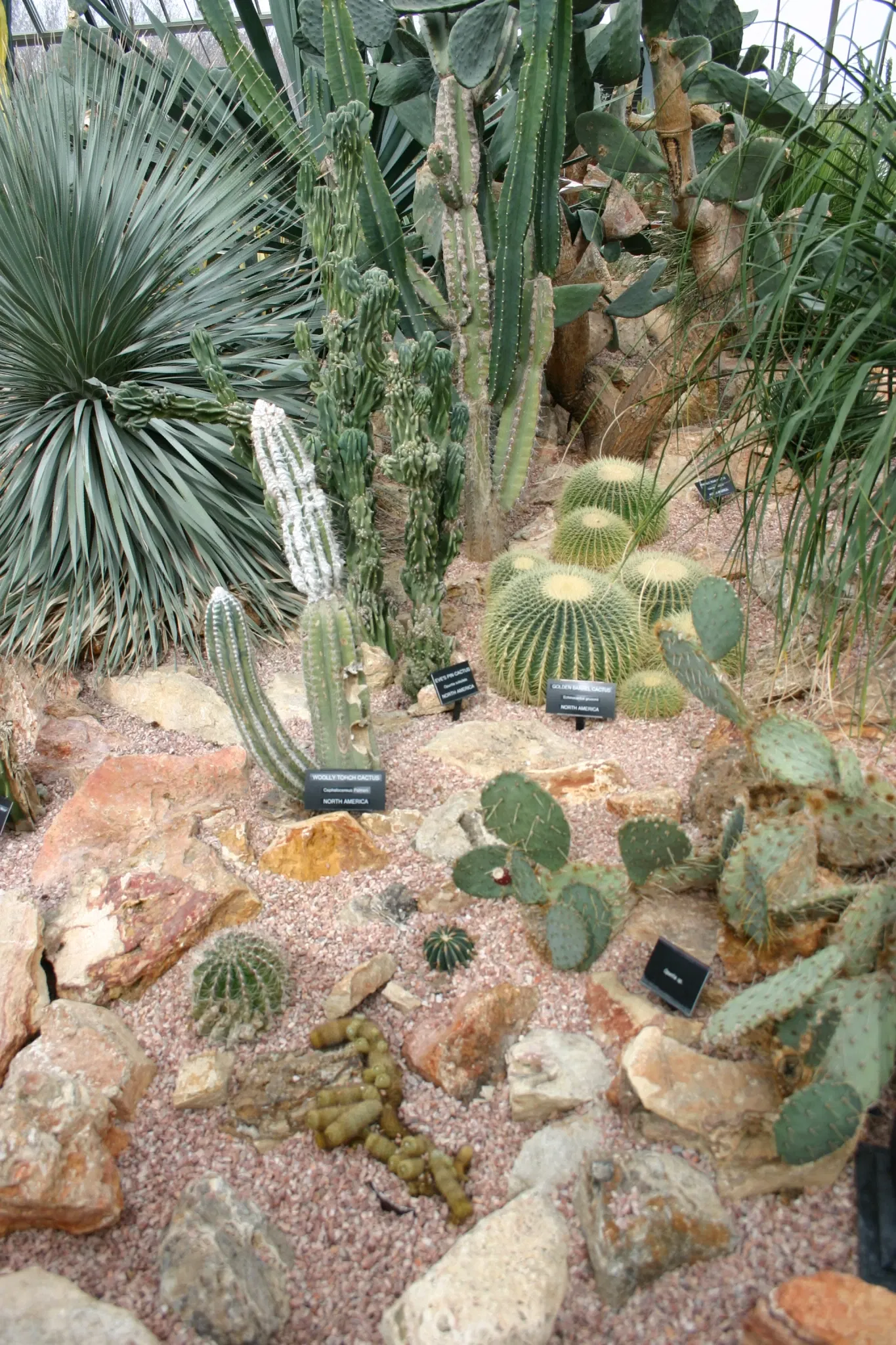 Muttart Conservatory