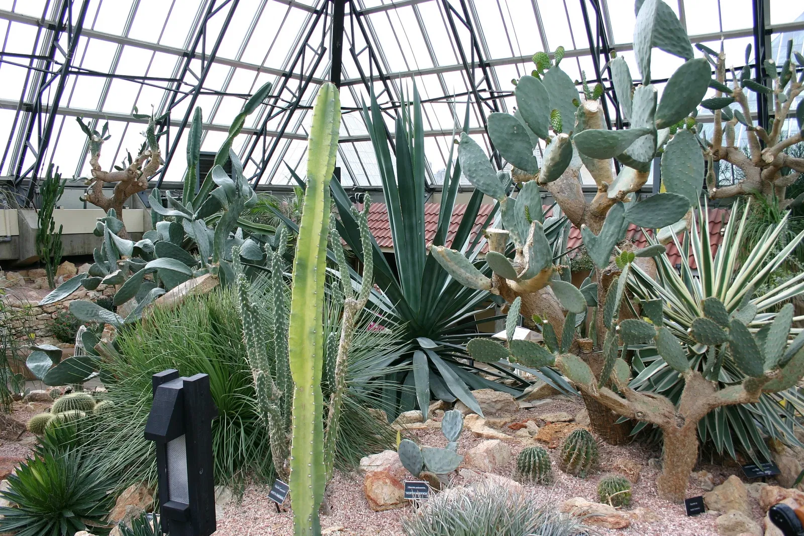 Muttart Conservatory