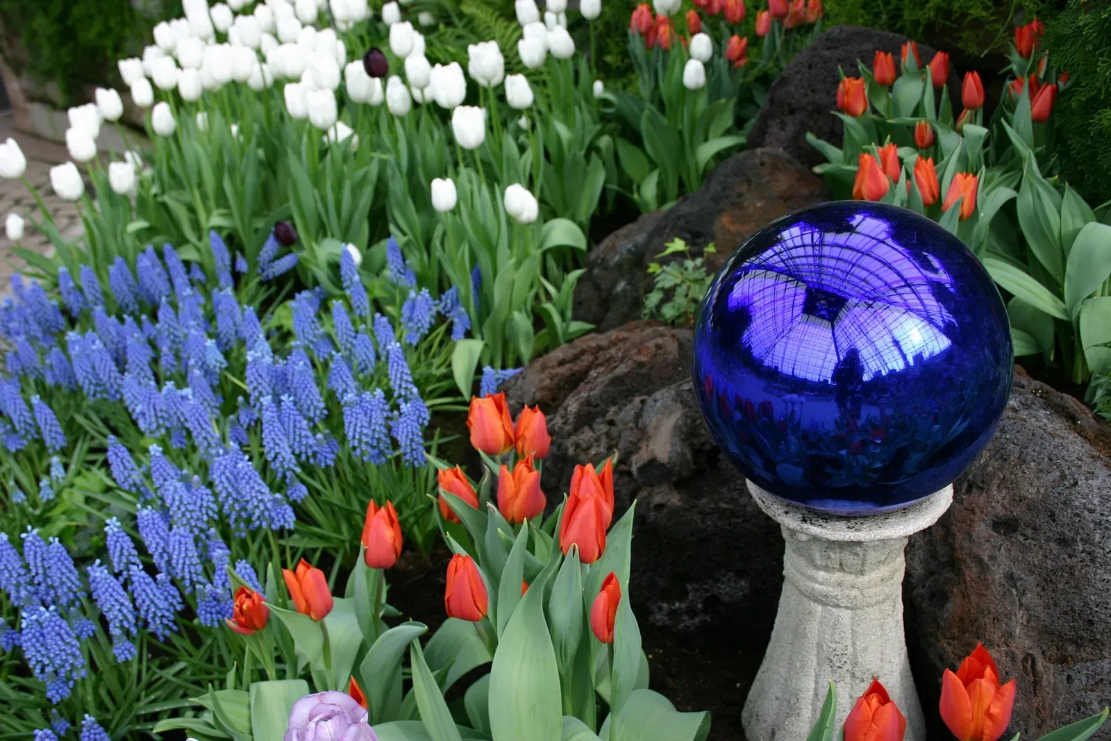 Muttart Conservatory