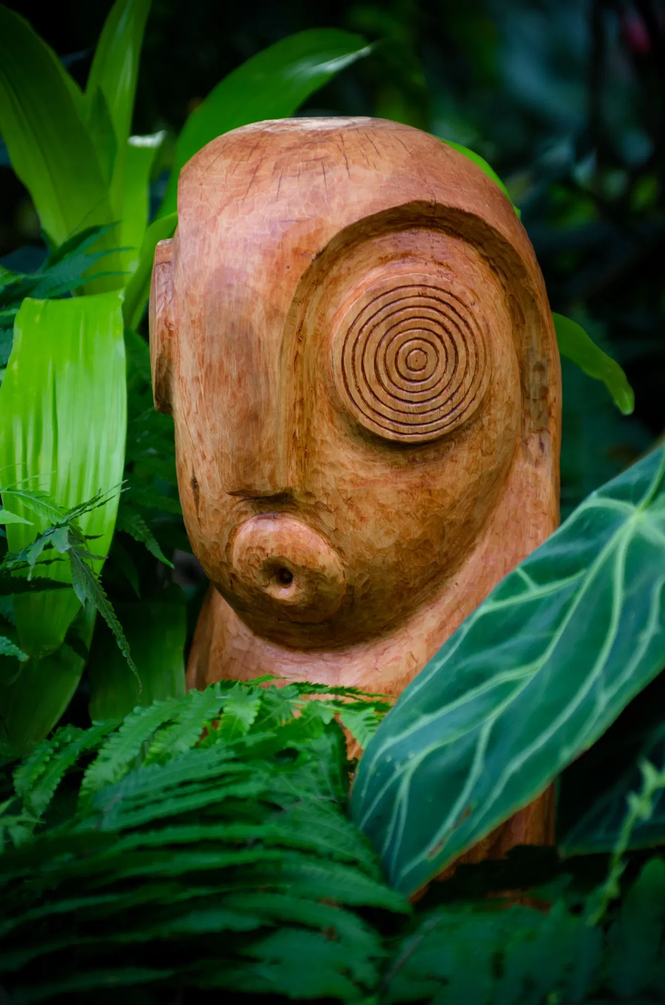 Muttart Conservatory