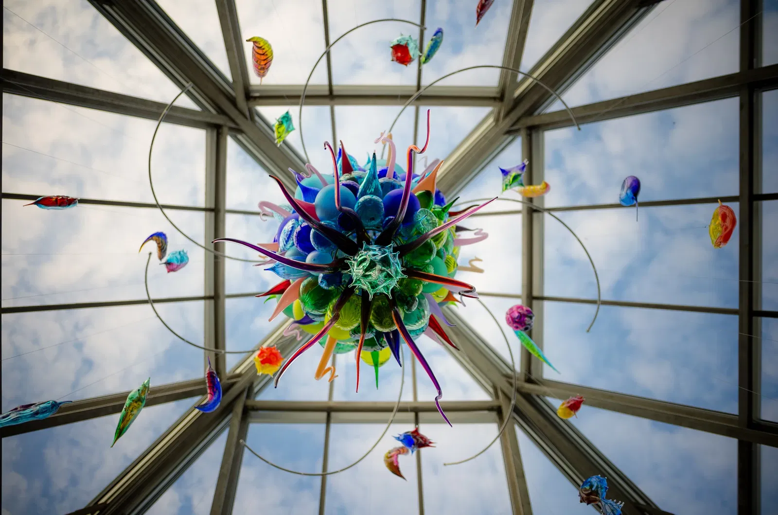 Muttart Conservatory