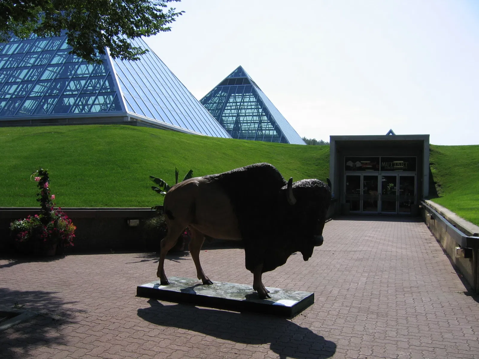 Muttart Conservatory