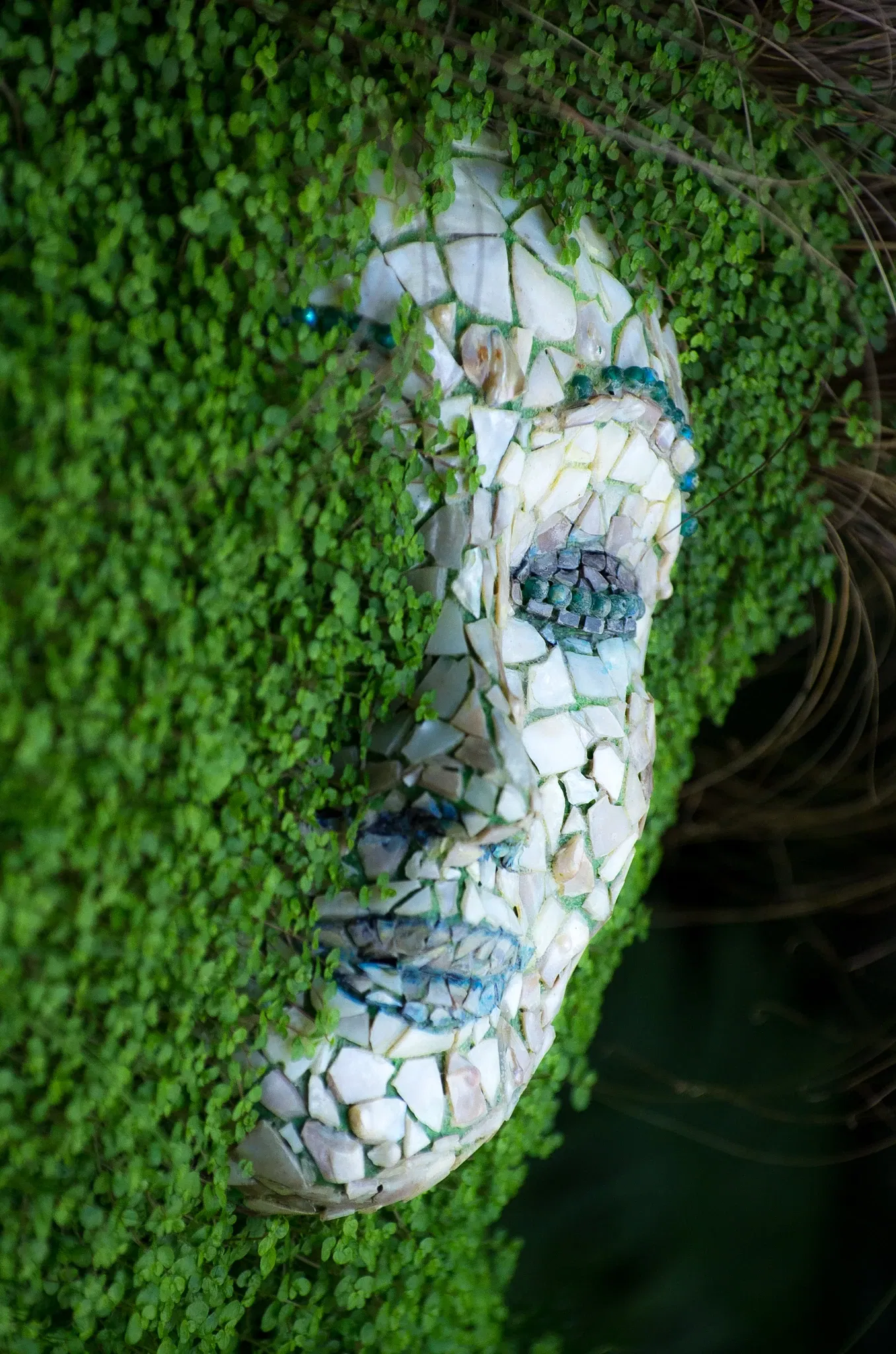 Muttart Conservatory