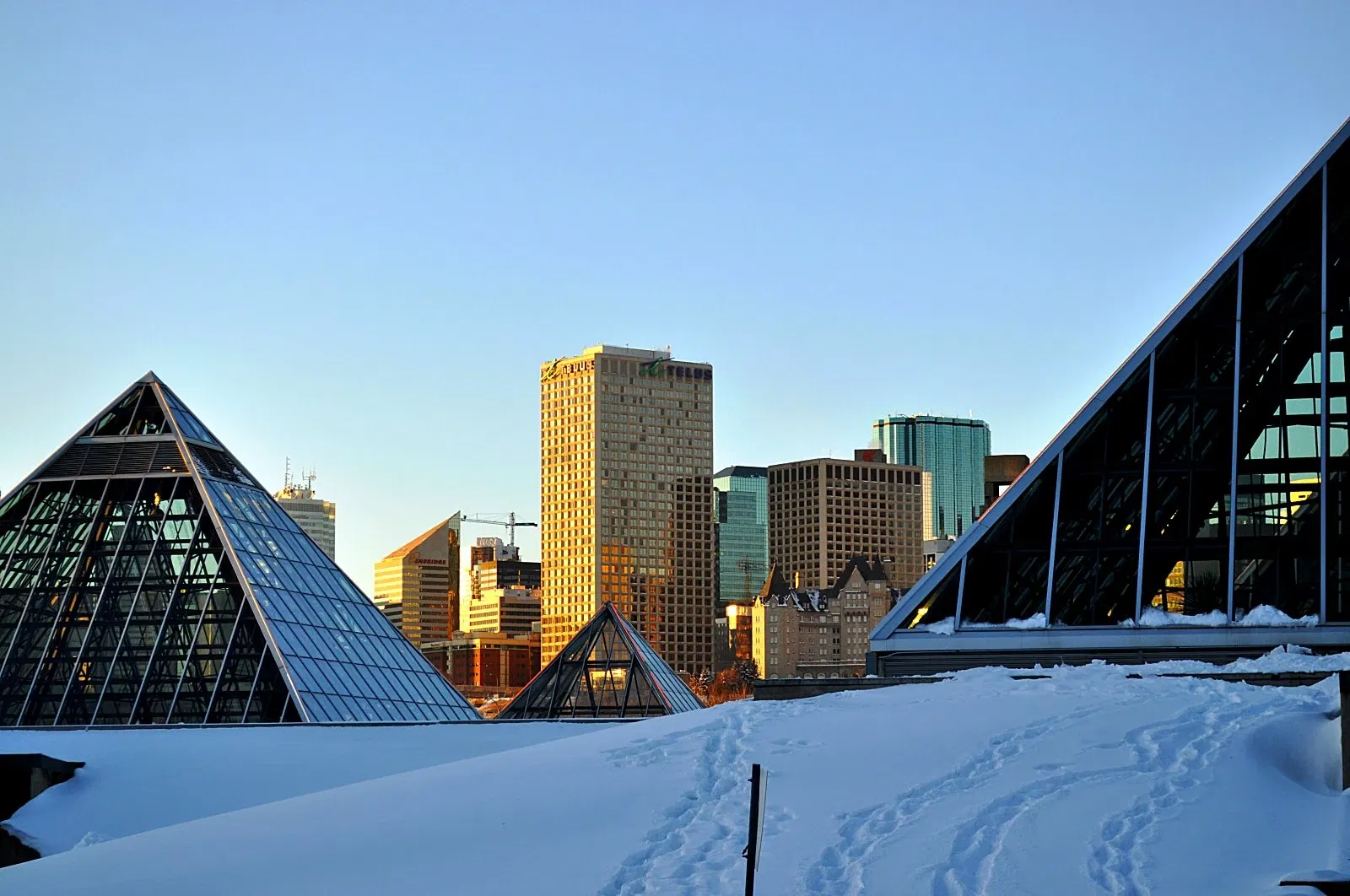 Muttart Conservatory