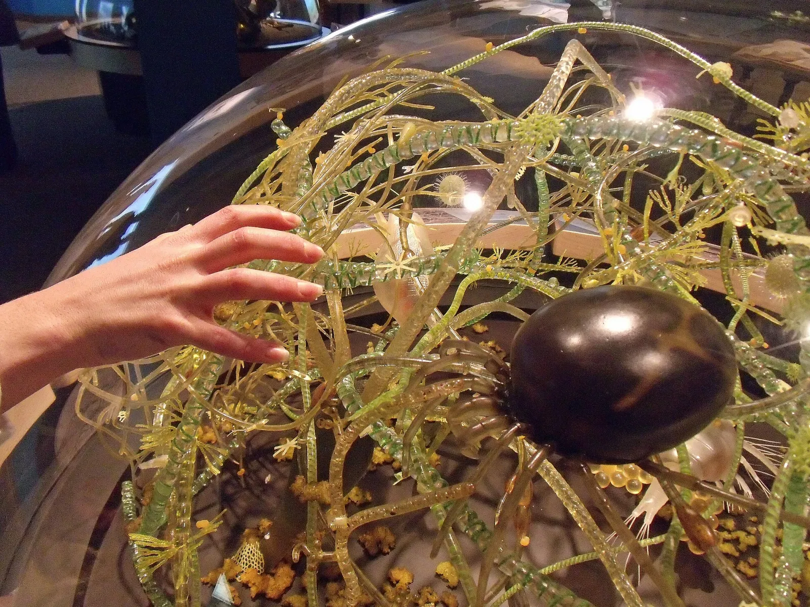 Royal Alberta Museum