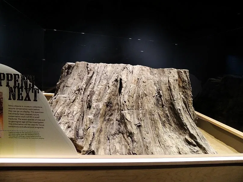 Royal Alberta Museum