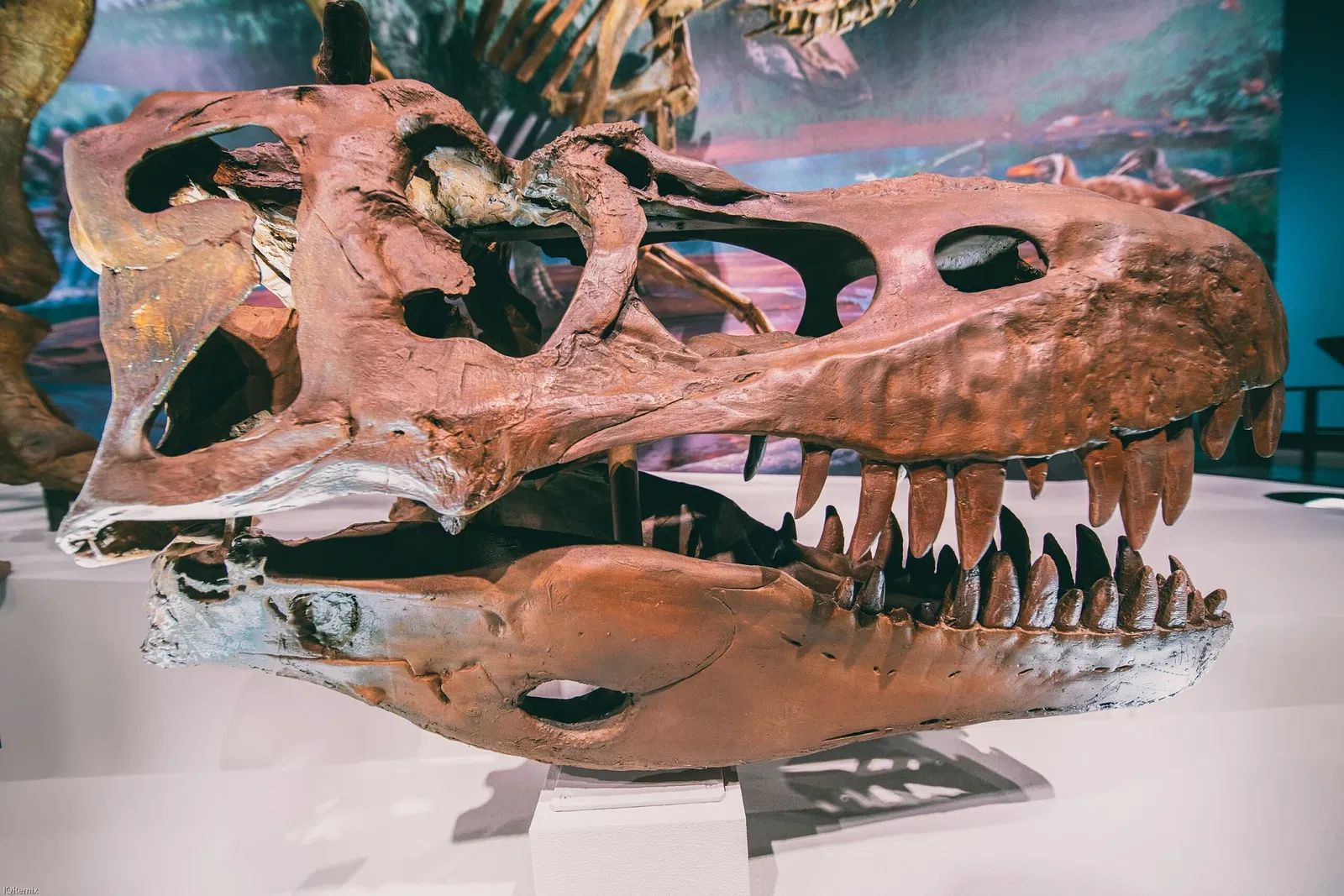 Royal Alberta Museum