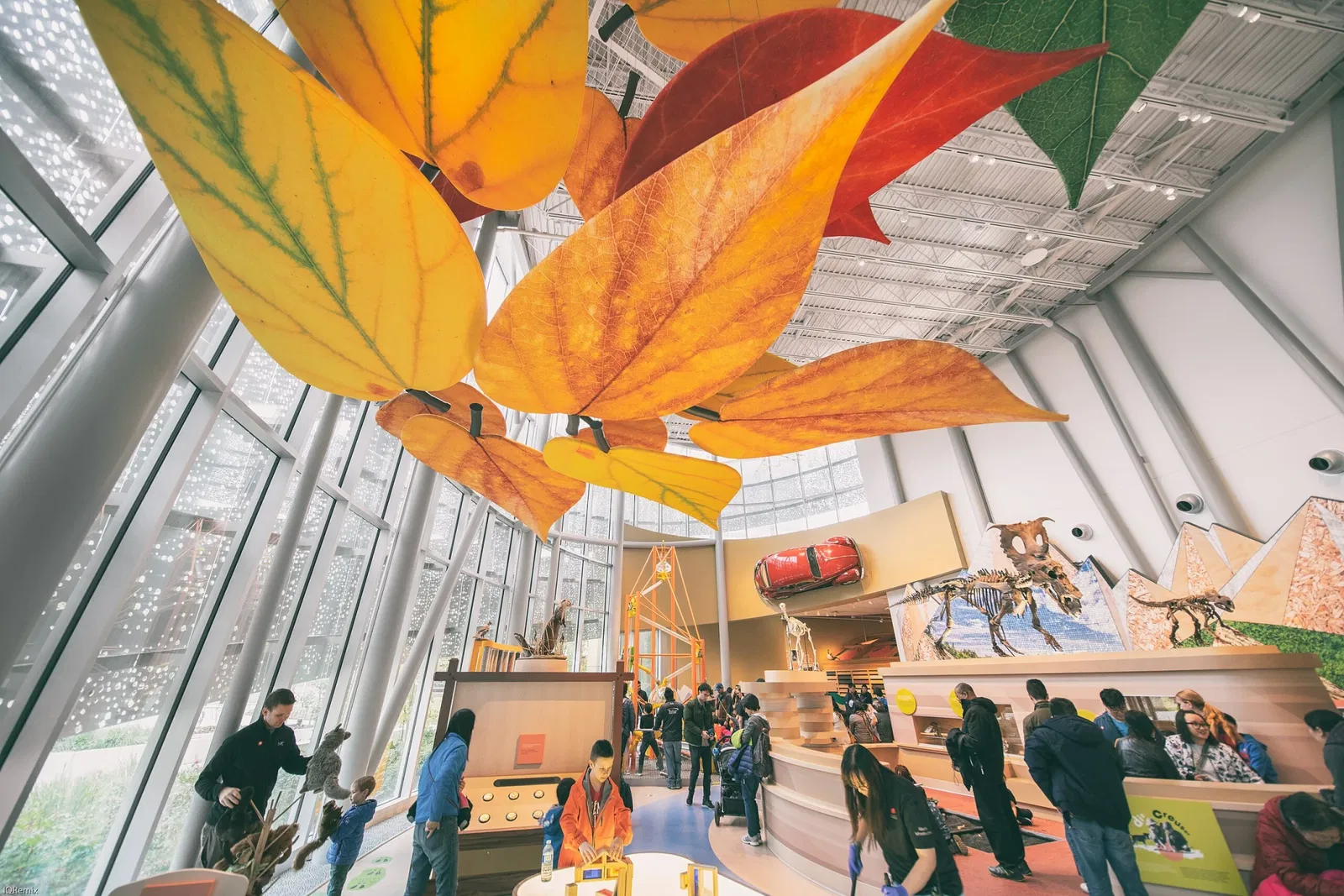 Royal Alberta Museum