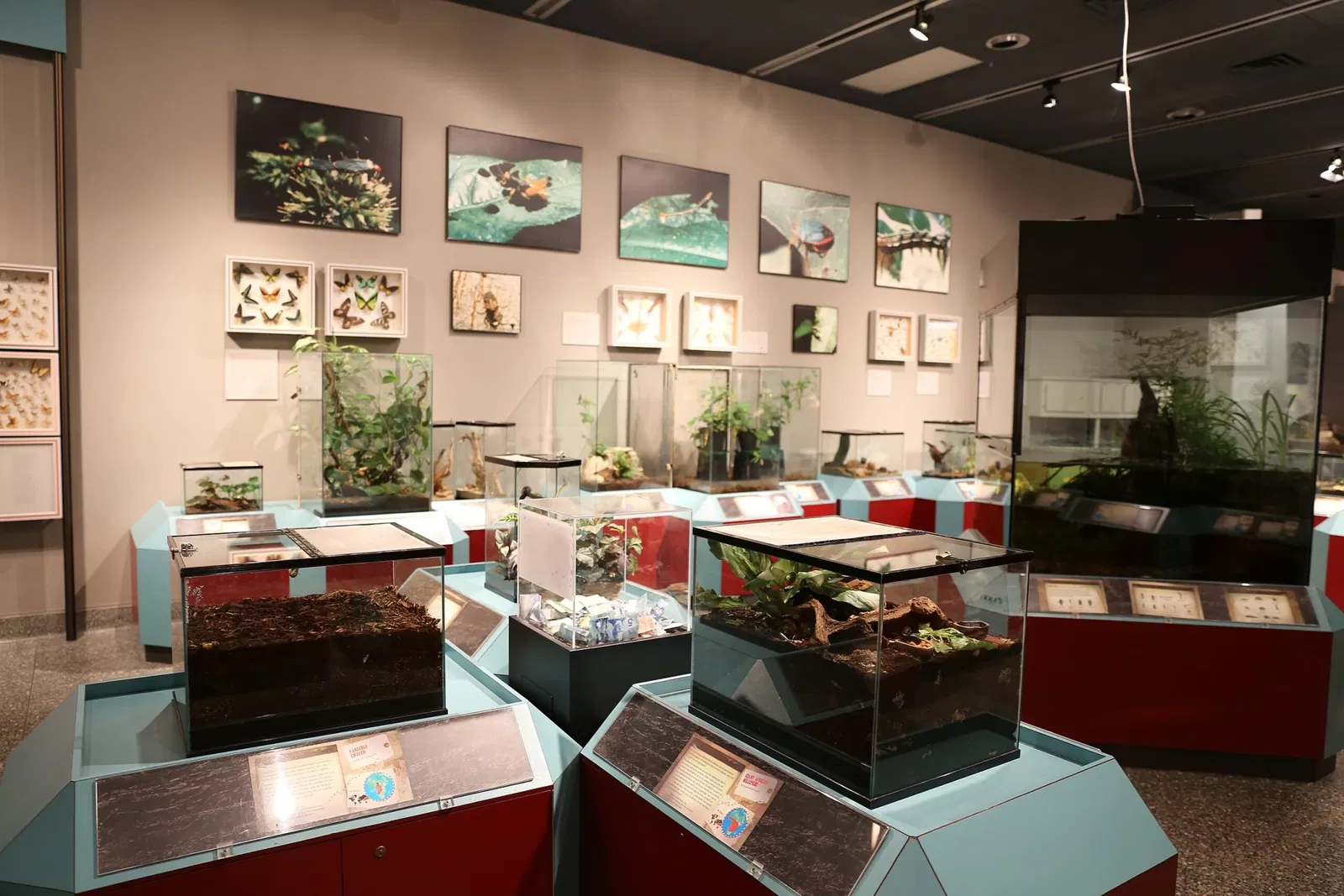 Royal Alberta Museum