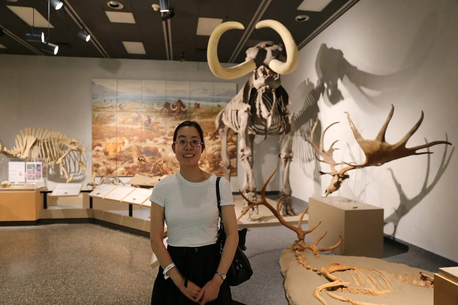 Musée royal de l'Alberta