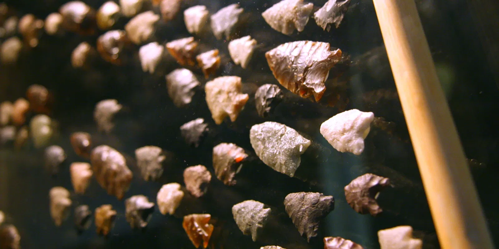 Royal Alberta Museum