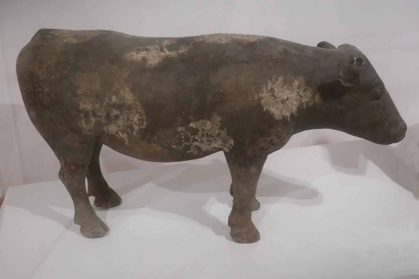 John Young Museum of Art