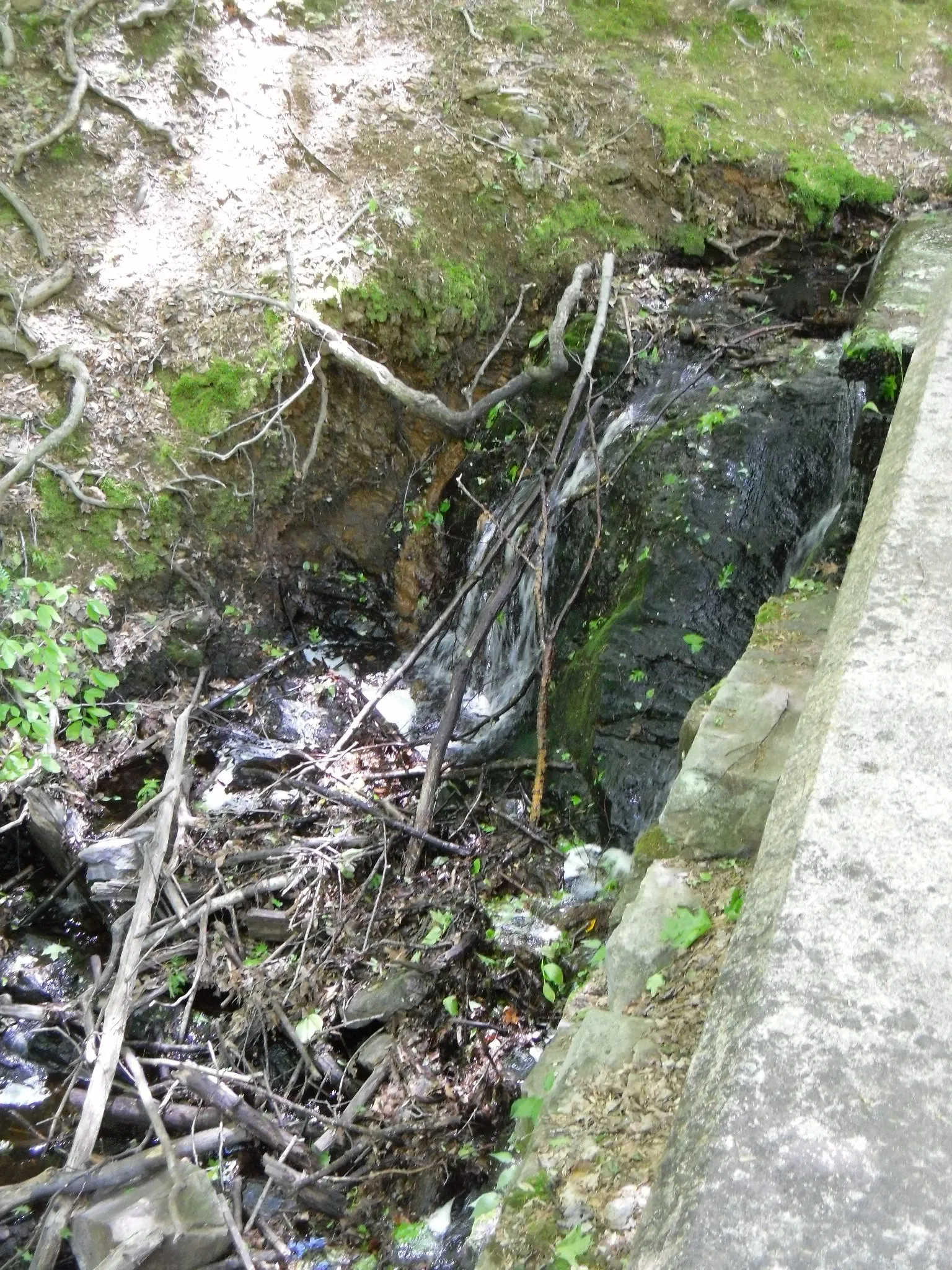 Putnam Memorial State Park