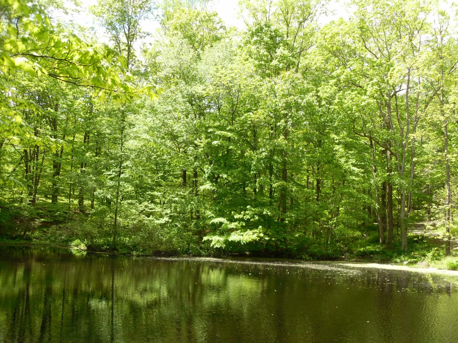 Putnam Memorial State Park - "Connecticut's Valley Forge"
