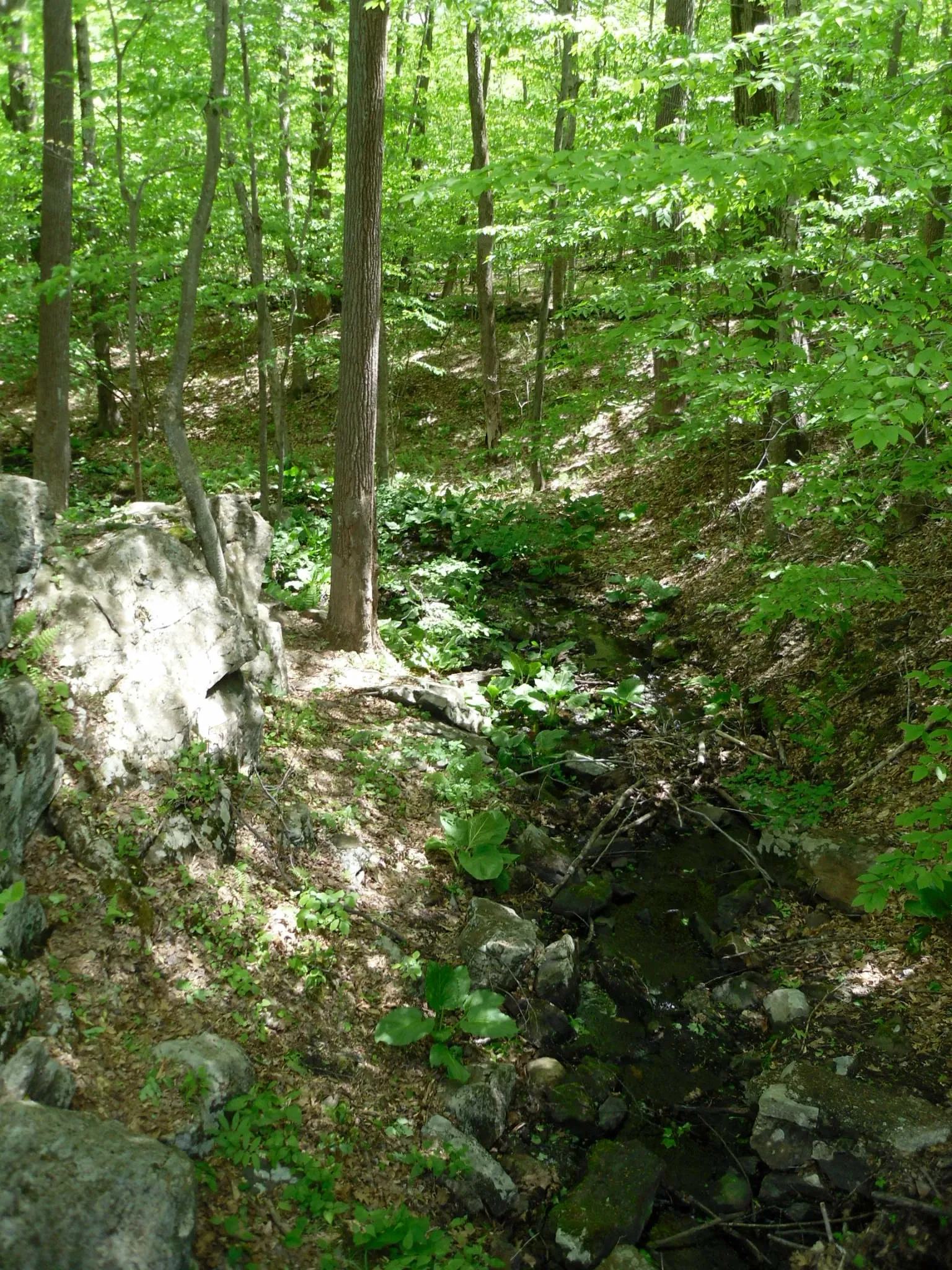 Putnam Memorial State Park - "Connecticut's Valley Forge"