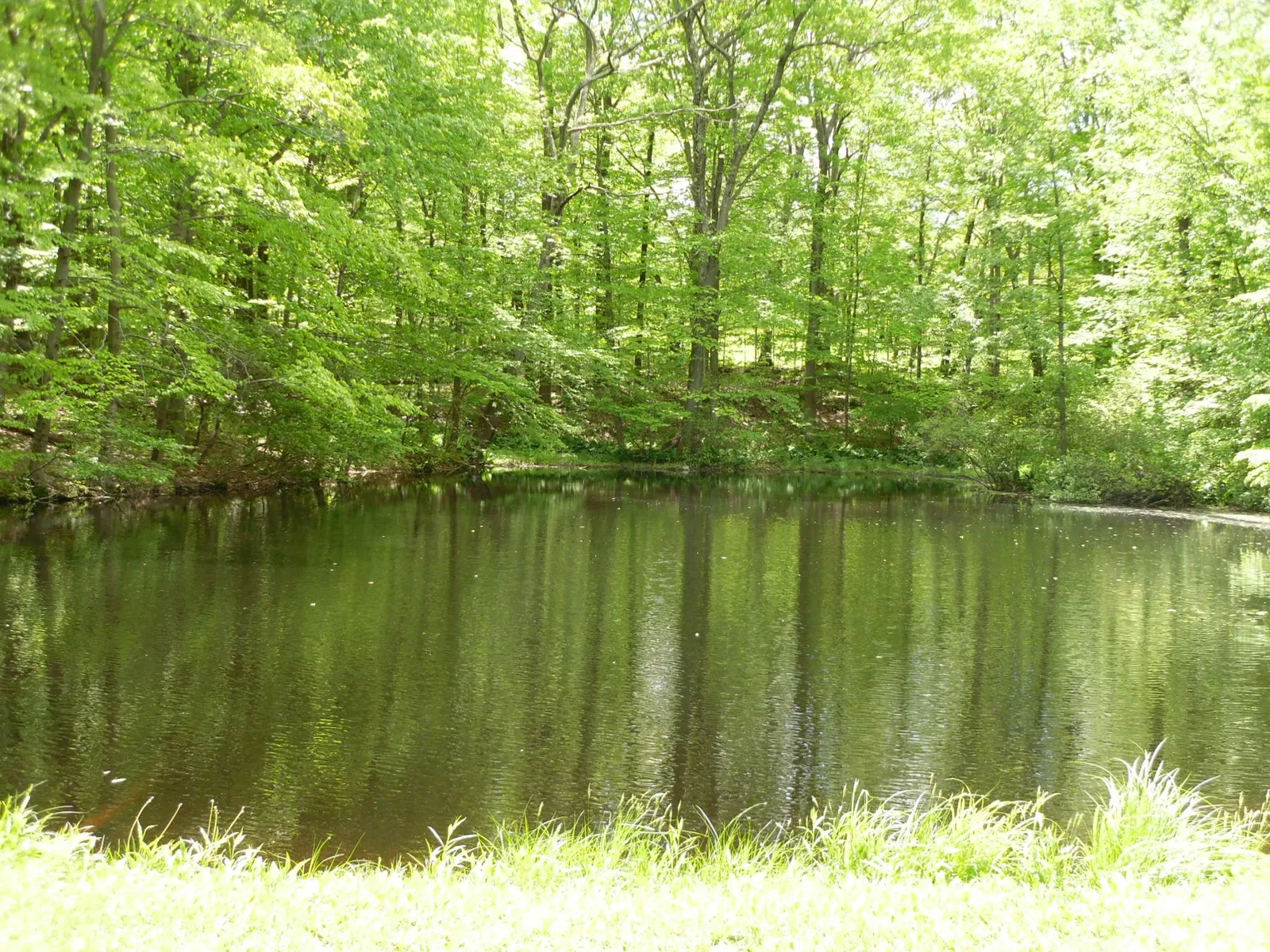 Putnam Memorial State Park - "Connecticut's Valley Forge"