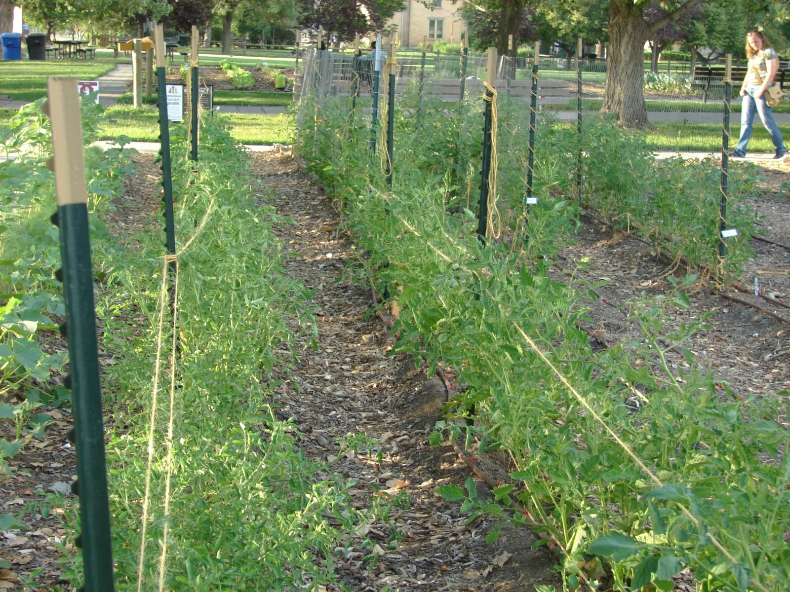 Wheeler Historic Farm - SLCo