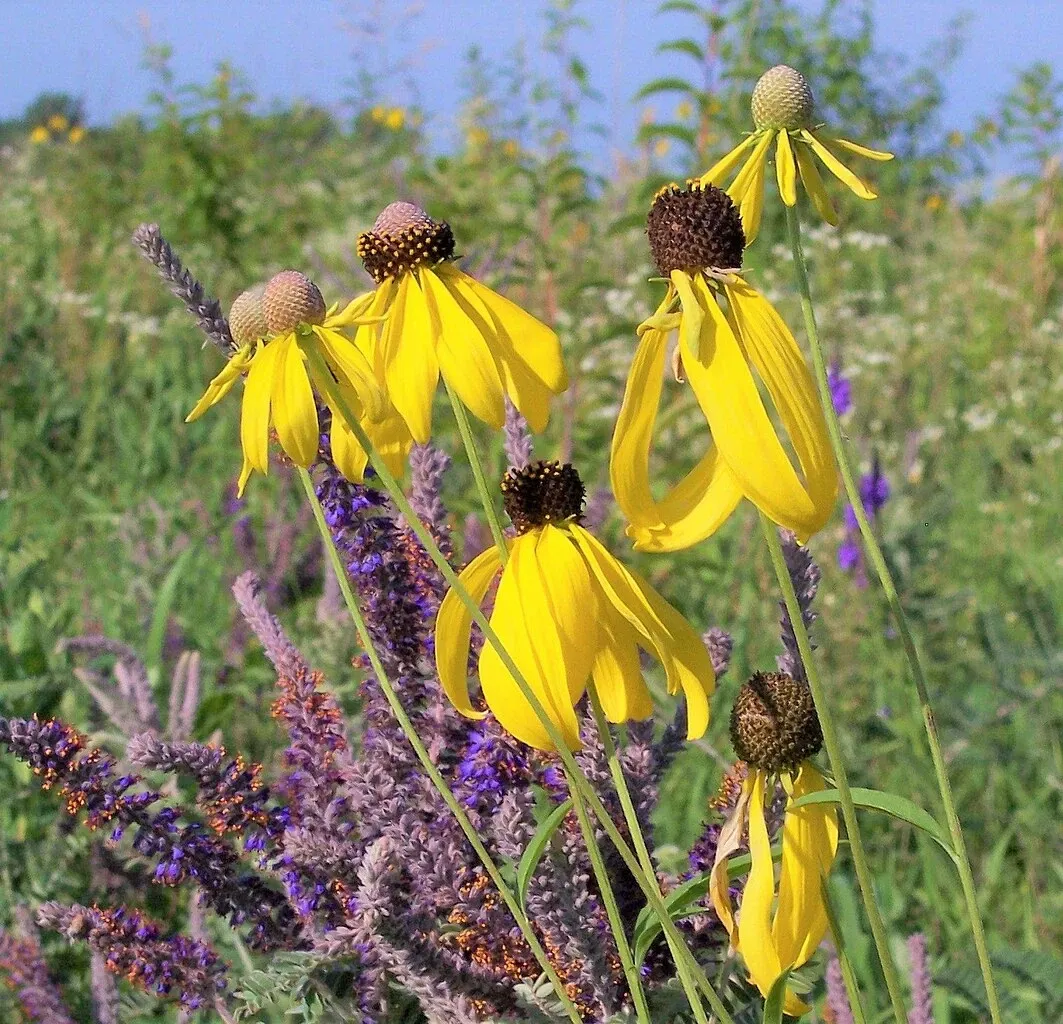 Pipestone National Monument - U.S. National Park Service