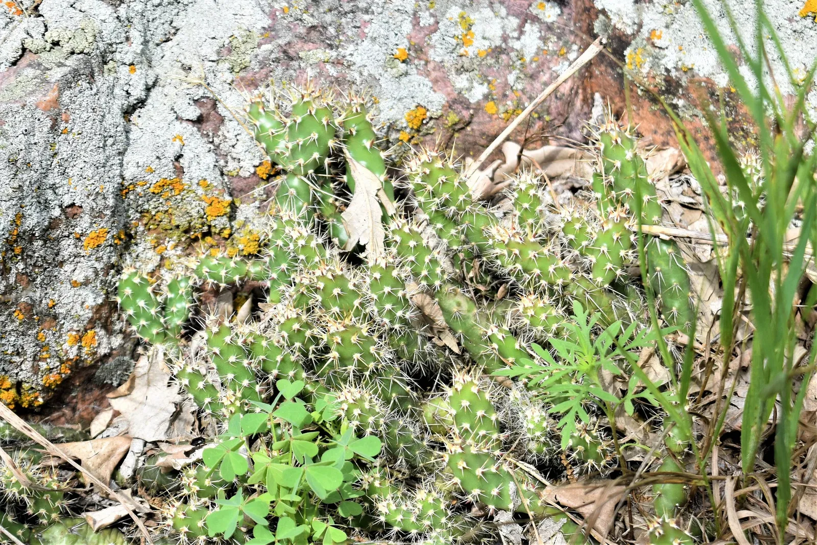 Pipestone National Monument