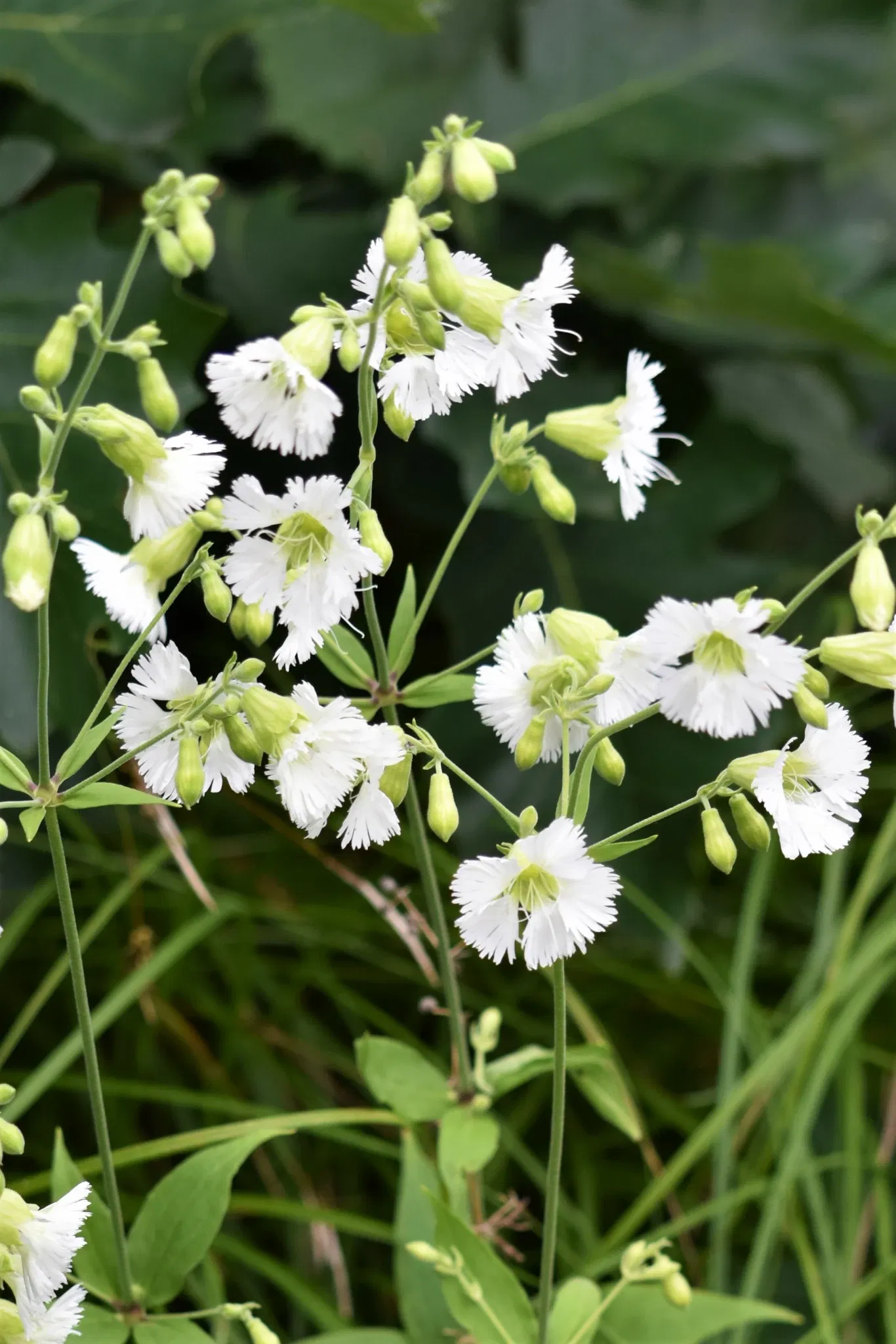Pipestone National Monument