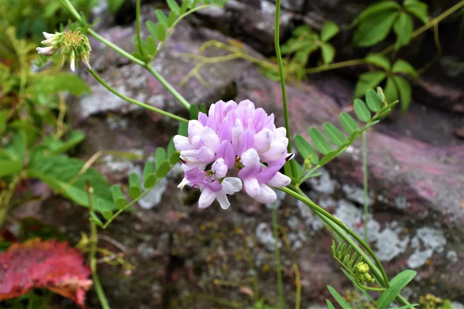 Pipestone National Monument