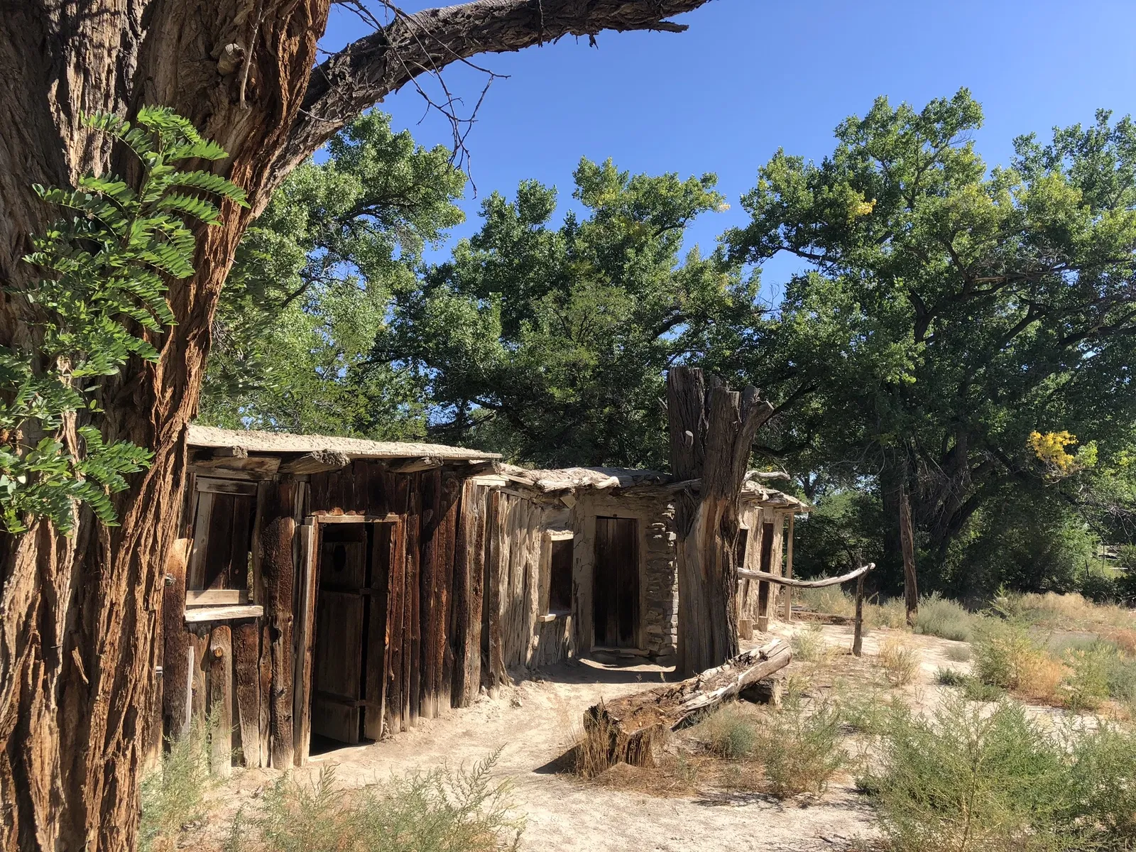 Museum - Salmon Ruins