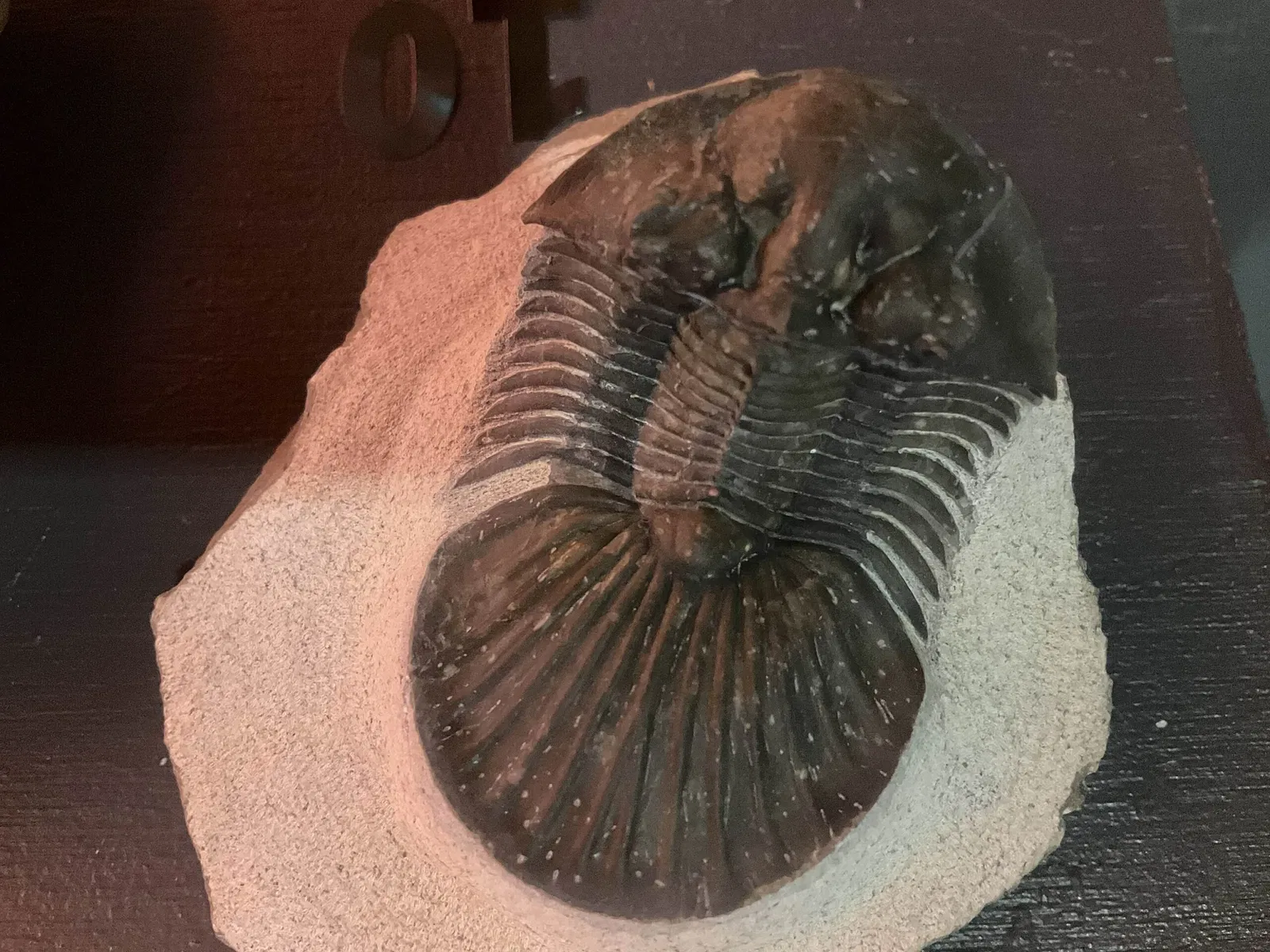 Aquarium de Vancouver