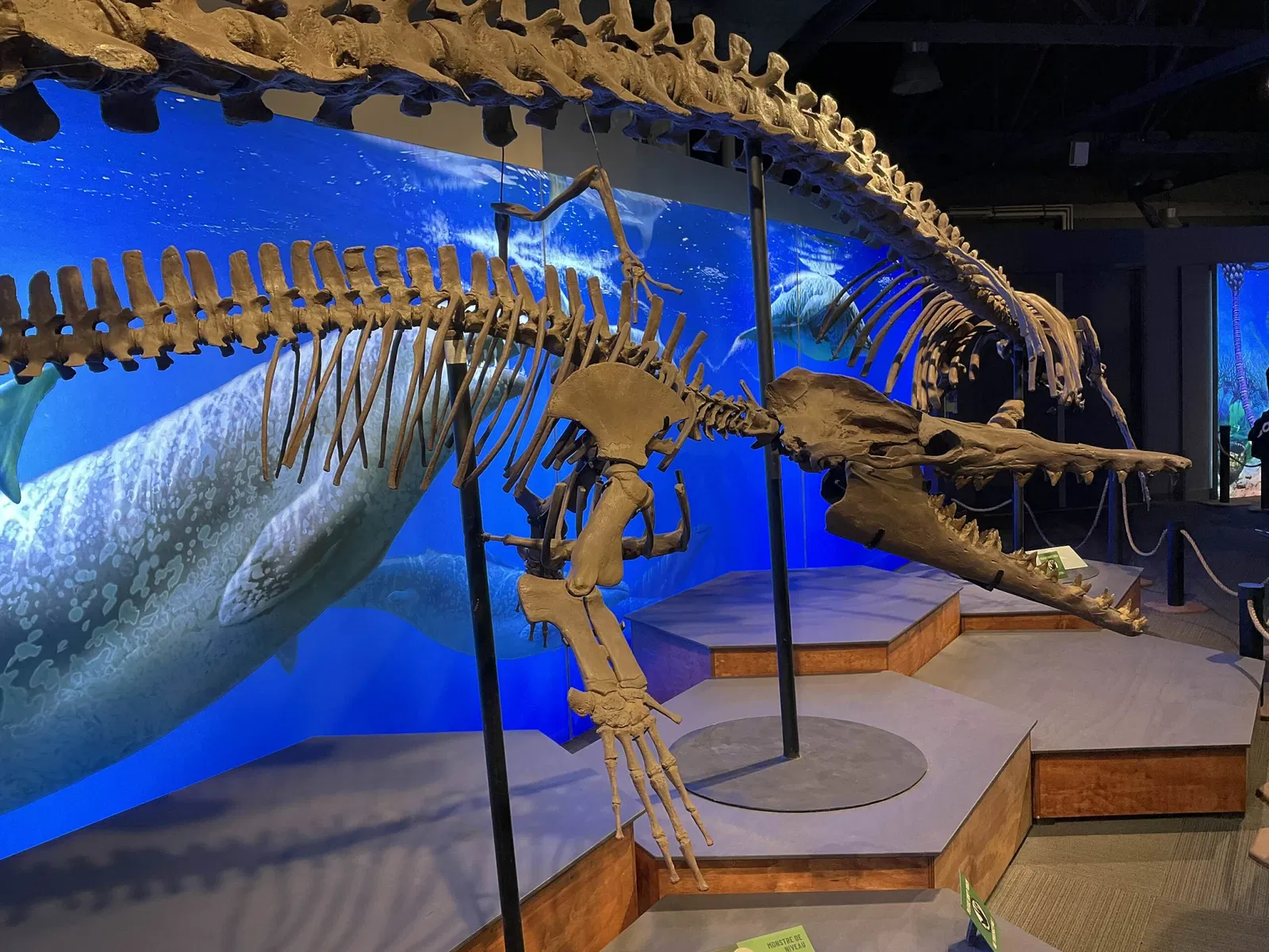 Acquario di Vancouver