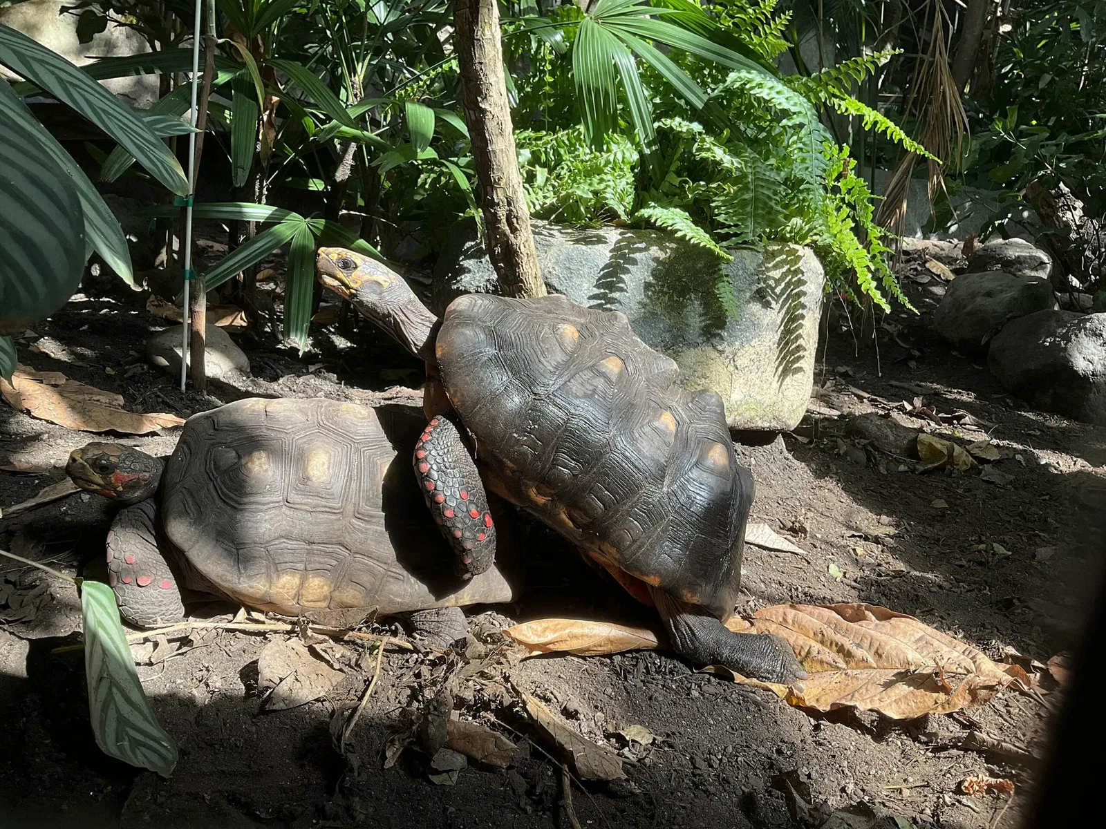Acquario di Vancouver