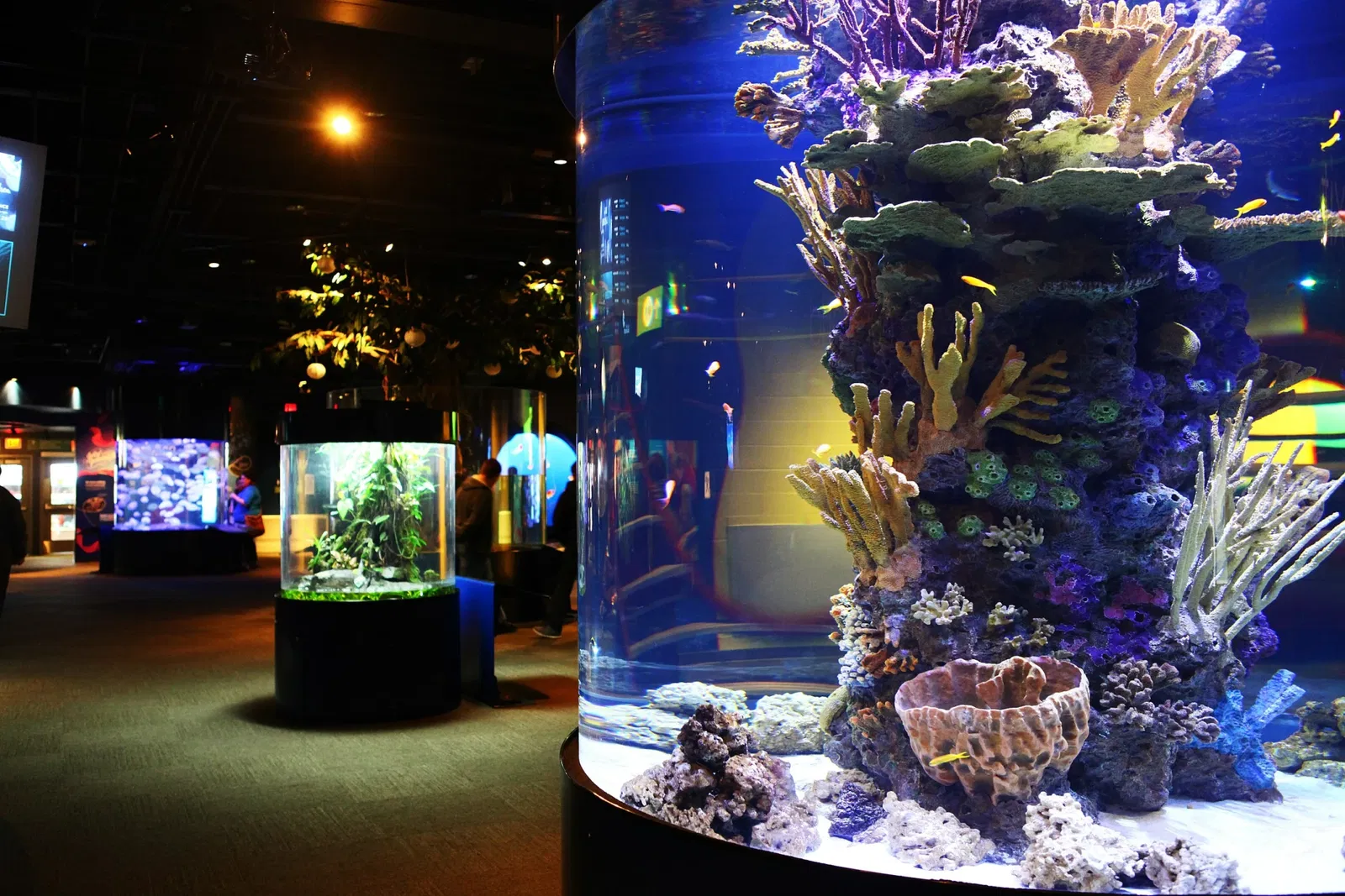 Acquario di Vancouver