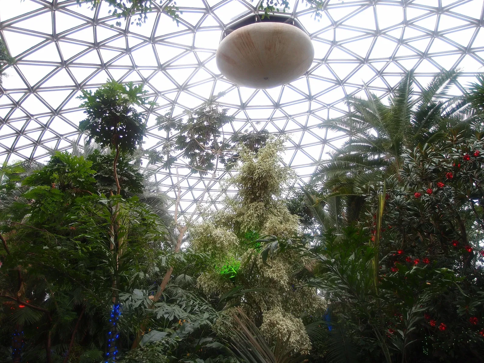 Bloedel Floral Conservatory