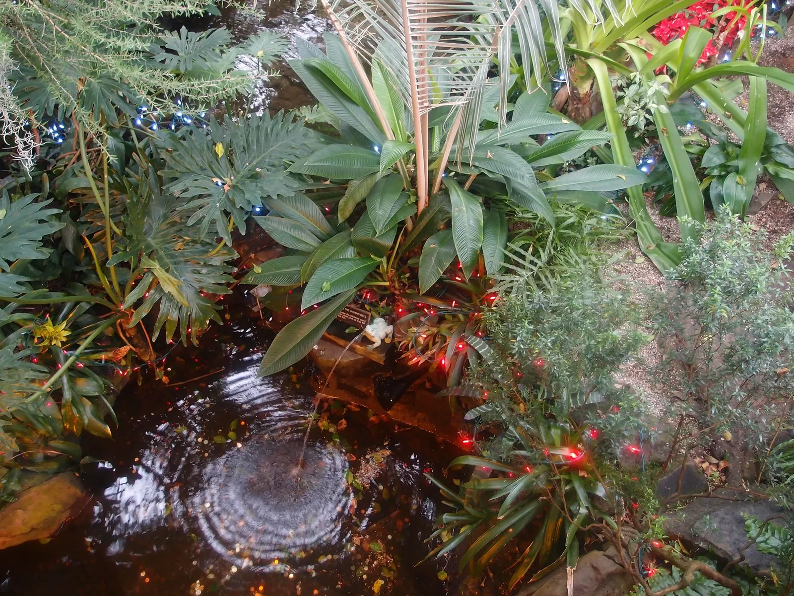 Bloedel Floral Conservatory