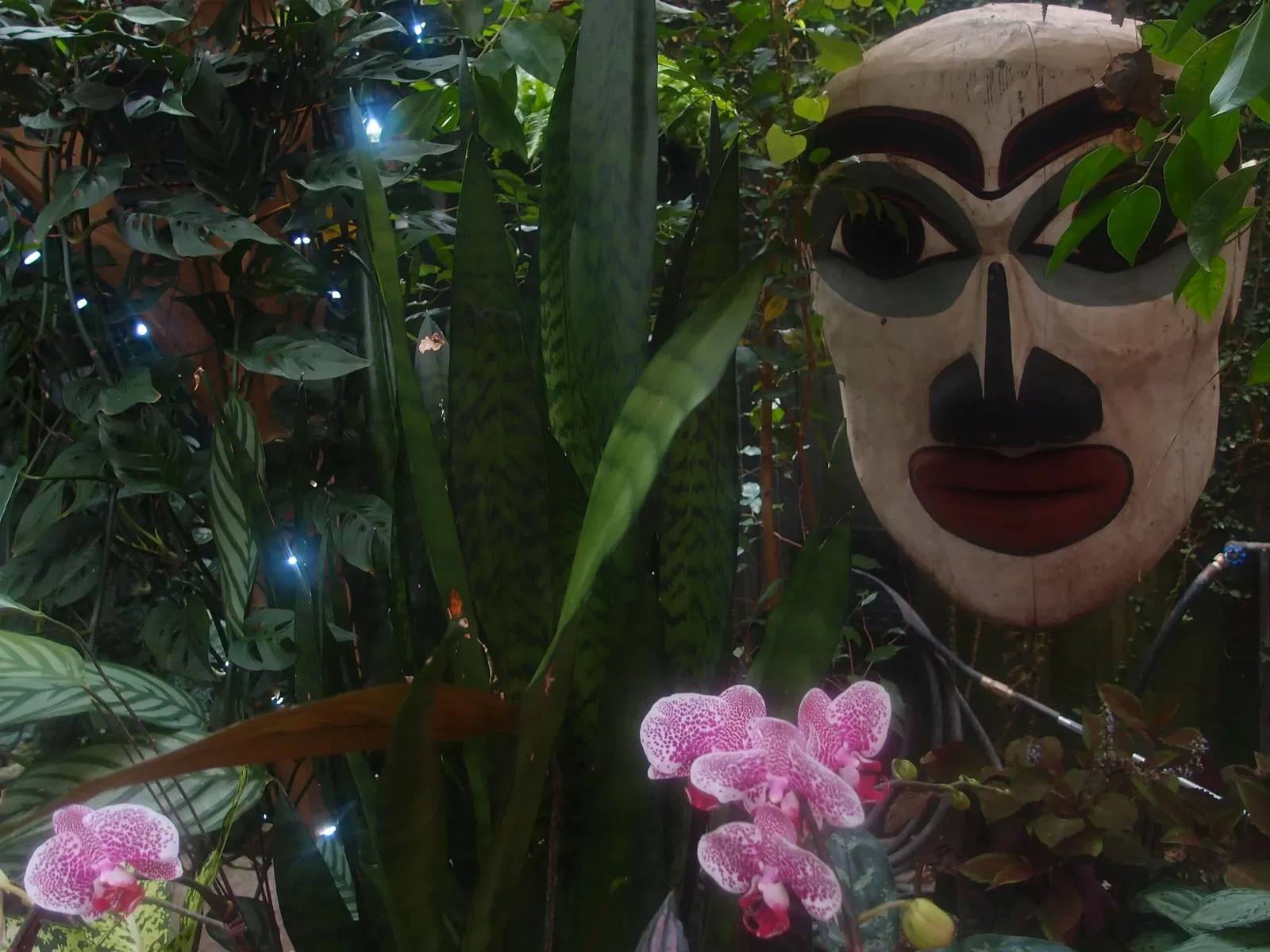 Bloedel Floral Conservatory