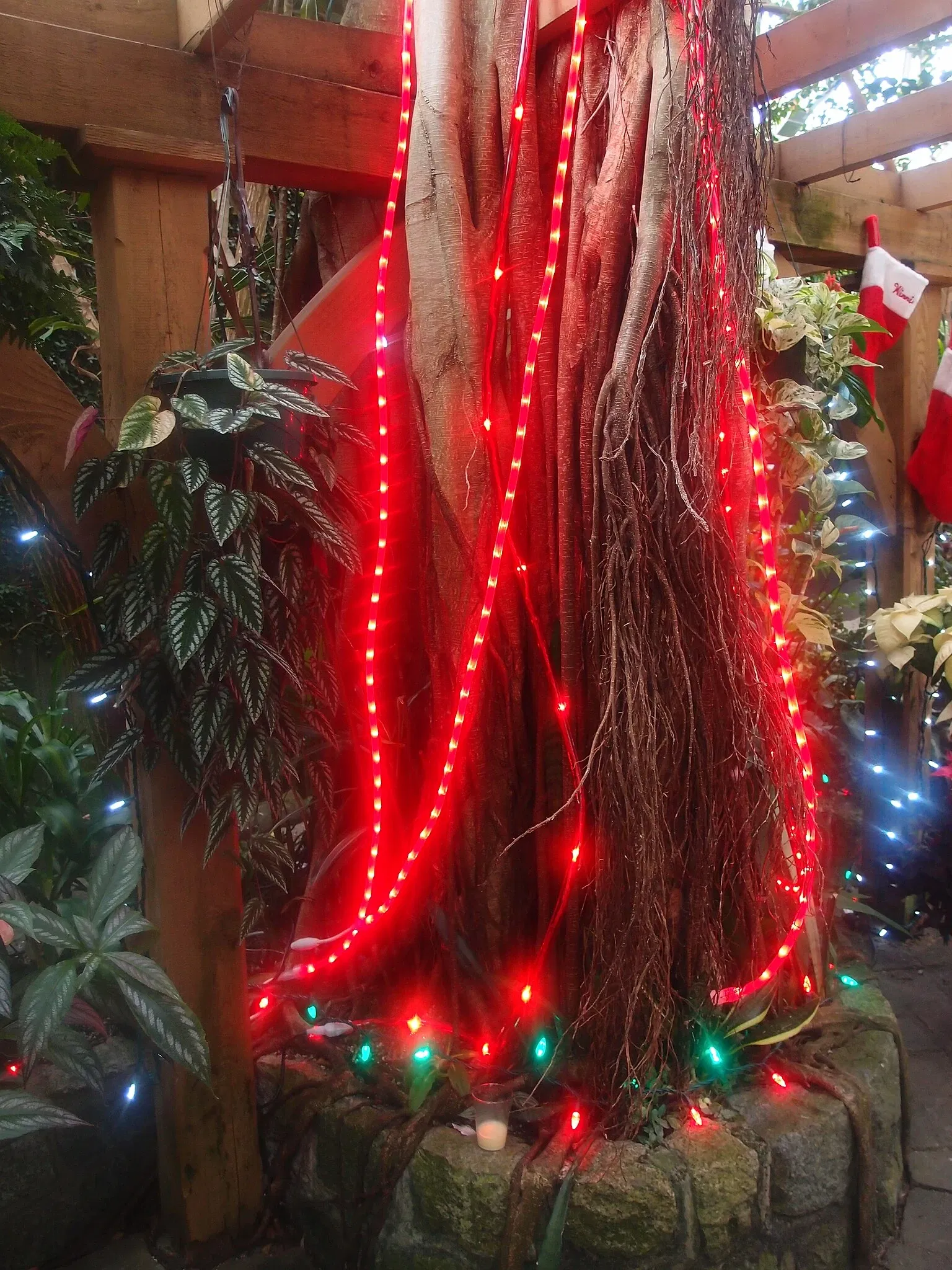 Bloedel Floral Conservatory